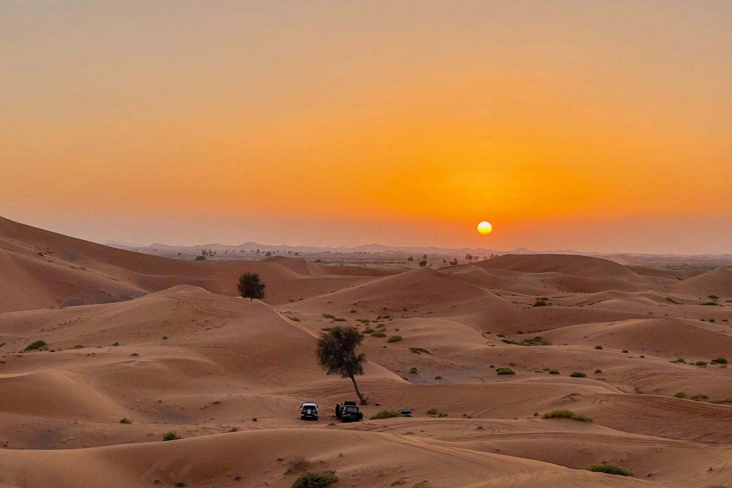 Cientistas encontram solução para captar água em desertos