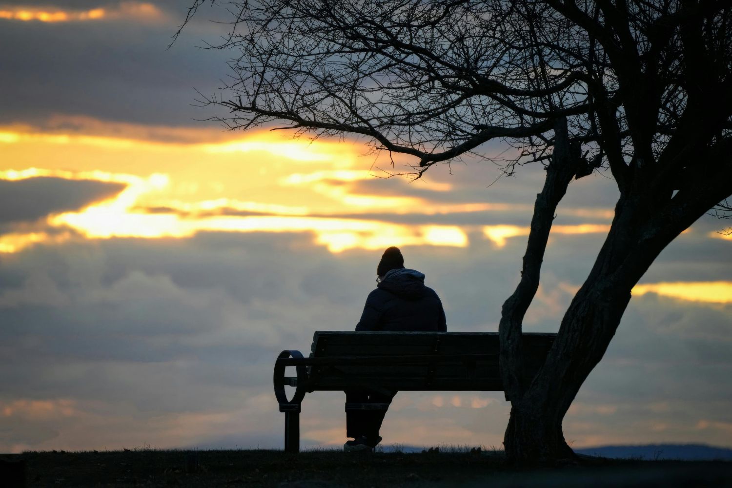 Solidão não é só emocional: impacto no coração preocupa cientistas