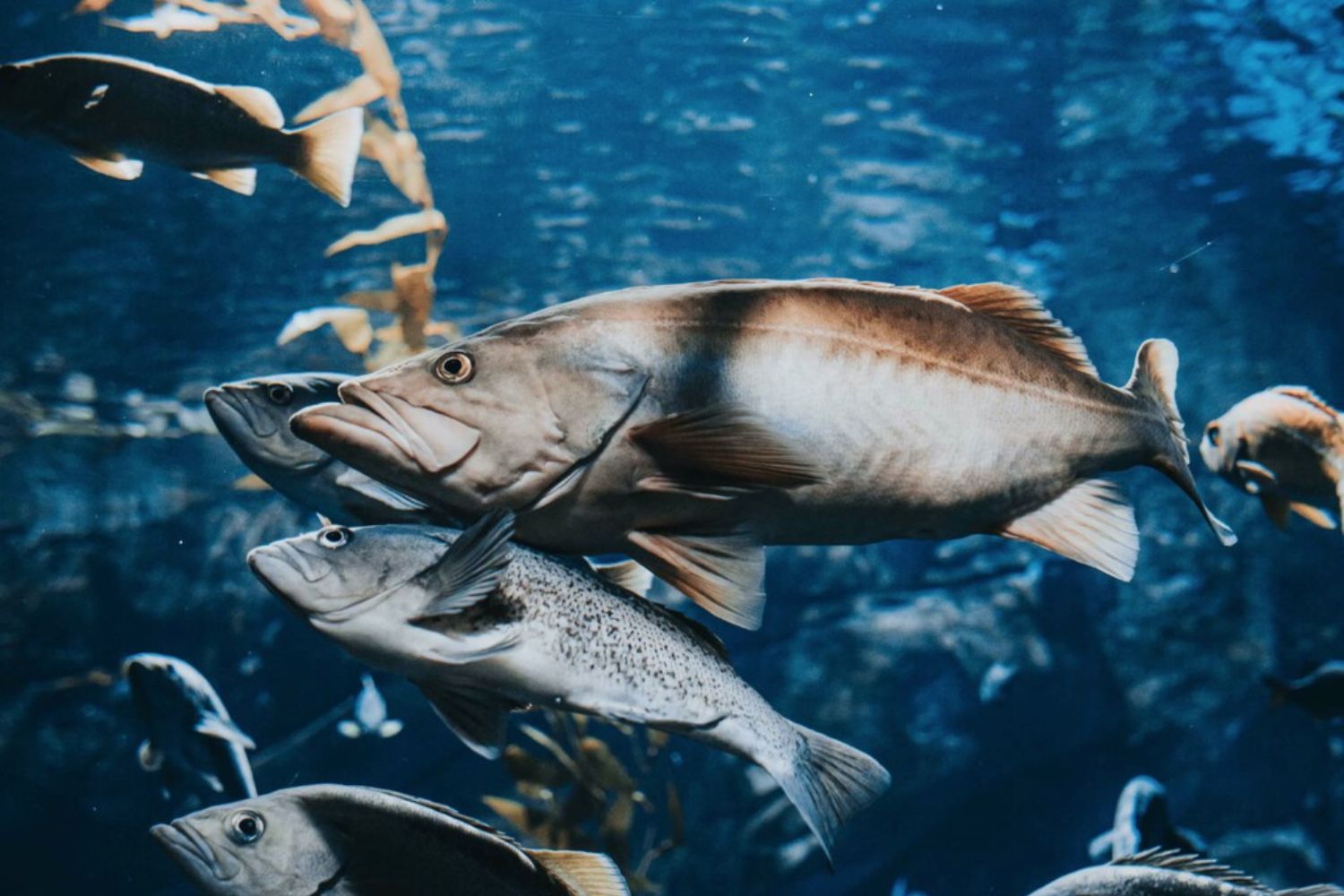 Esperma de salmão, fezes de pássaro e outras tendências bizarras: o que a ciência realmente diz sobre esses tratamentos de skincare