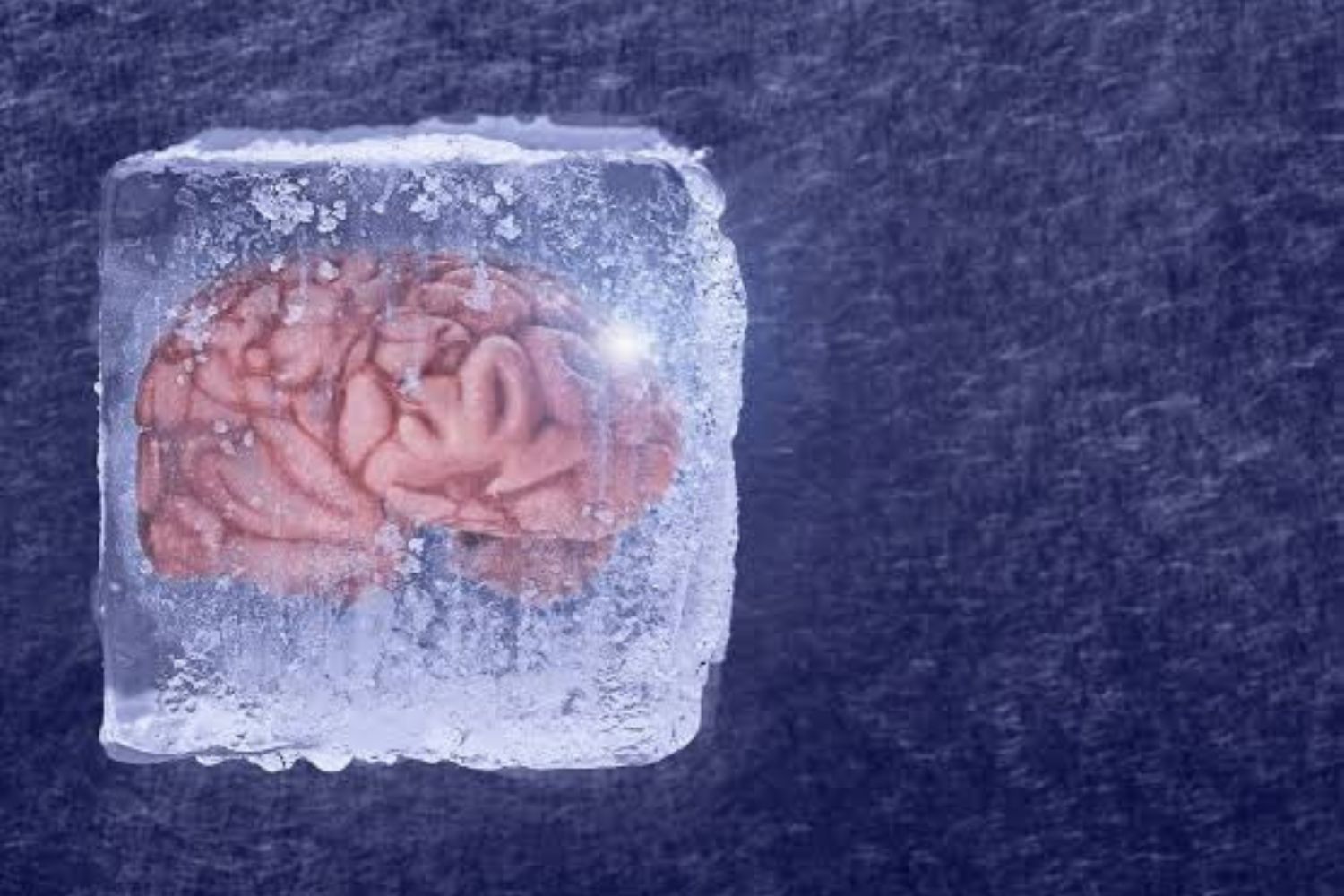 Ressurreição? Cientistas reativam atividade em cérebro congelado