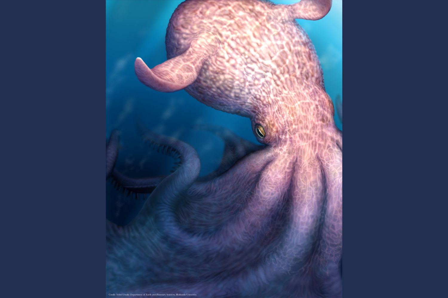 O “Kraken” pode não ser só mito: fósseis revelam um predador colossal que dominava os oceanos antigos