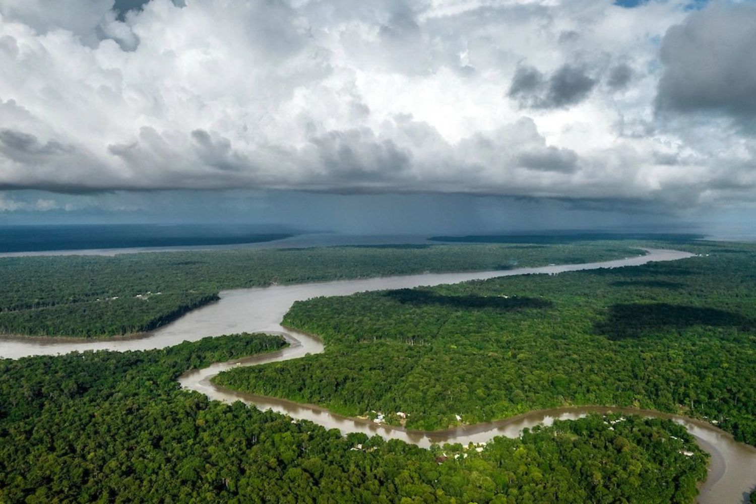 Cientistas encontram algo inesperado em área remota da Amazônia