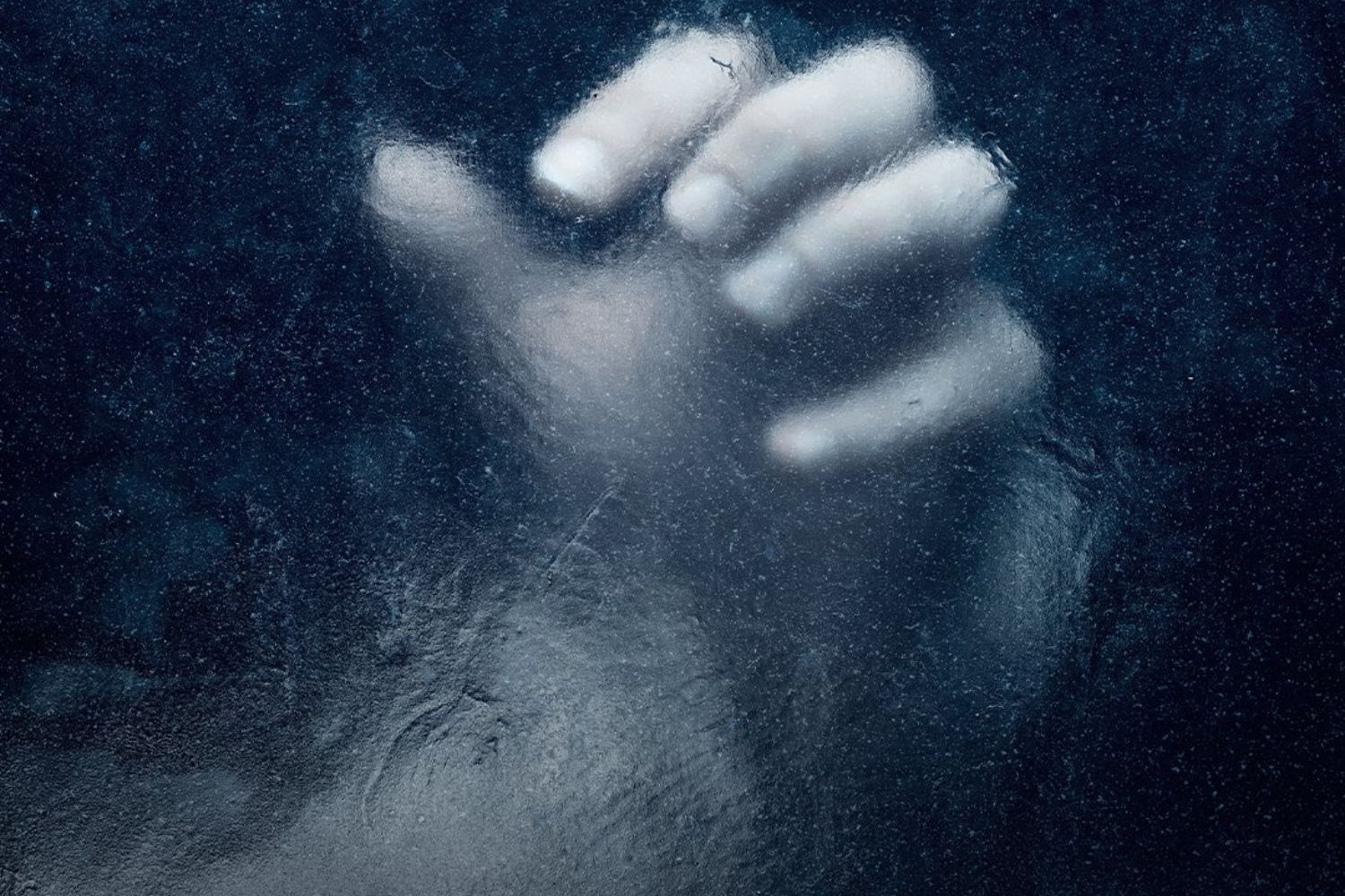 Avanço na criopreservação de pessoas? Cientistas congelaram um cérebro sem danificar células