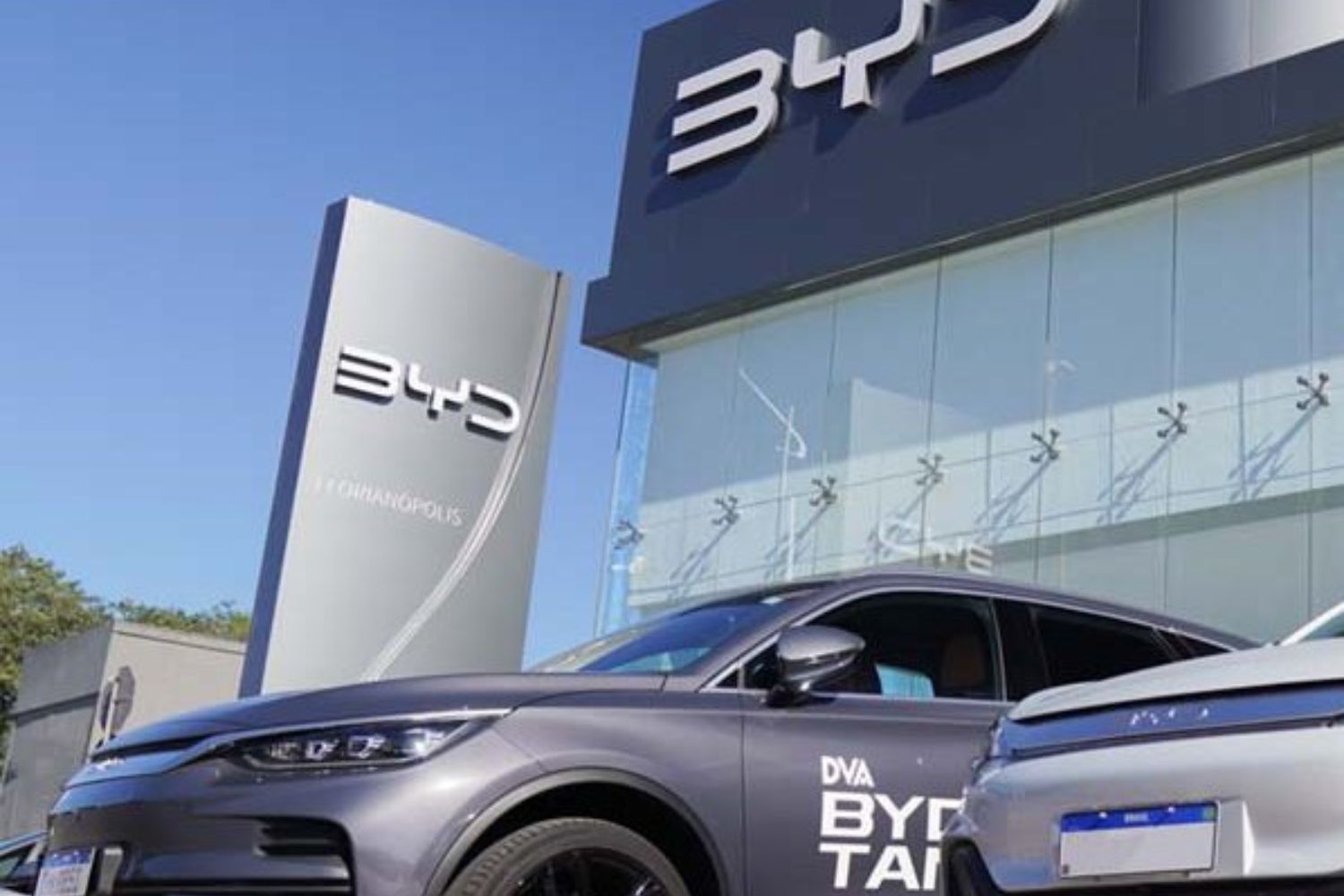 BYD alerta para “eliminação brutal” no mercado de carros elétricos