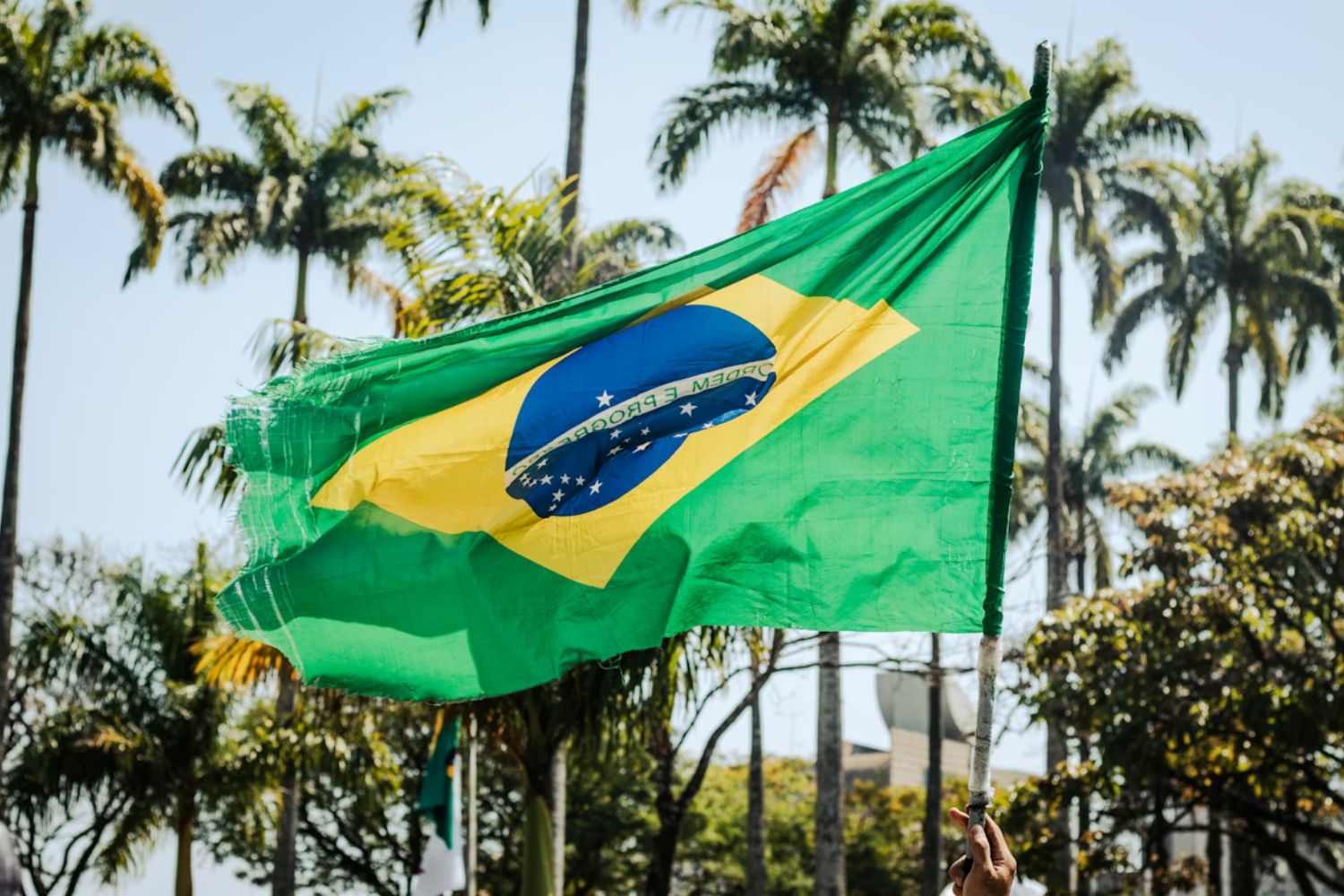 Por que o Brasil virou alvo de investidores estrangeiros em 2026