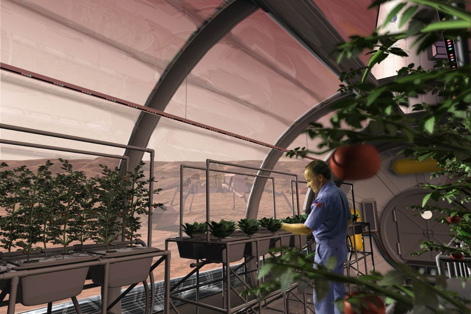 Cientistas conseguem cultivar alimentos em Marte usando bactérias