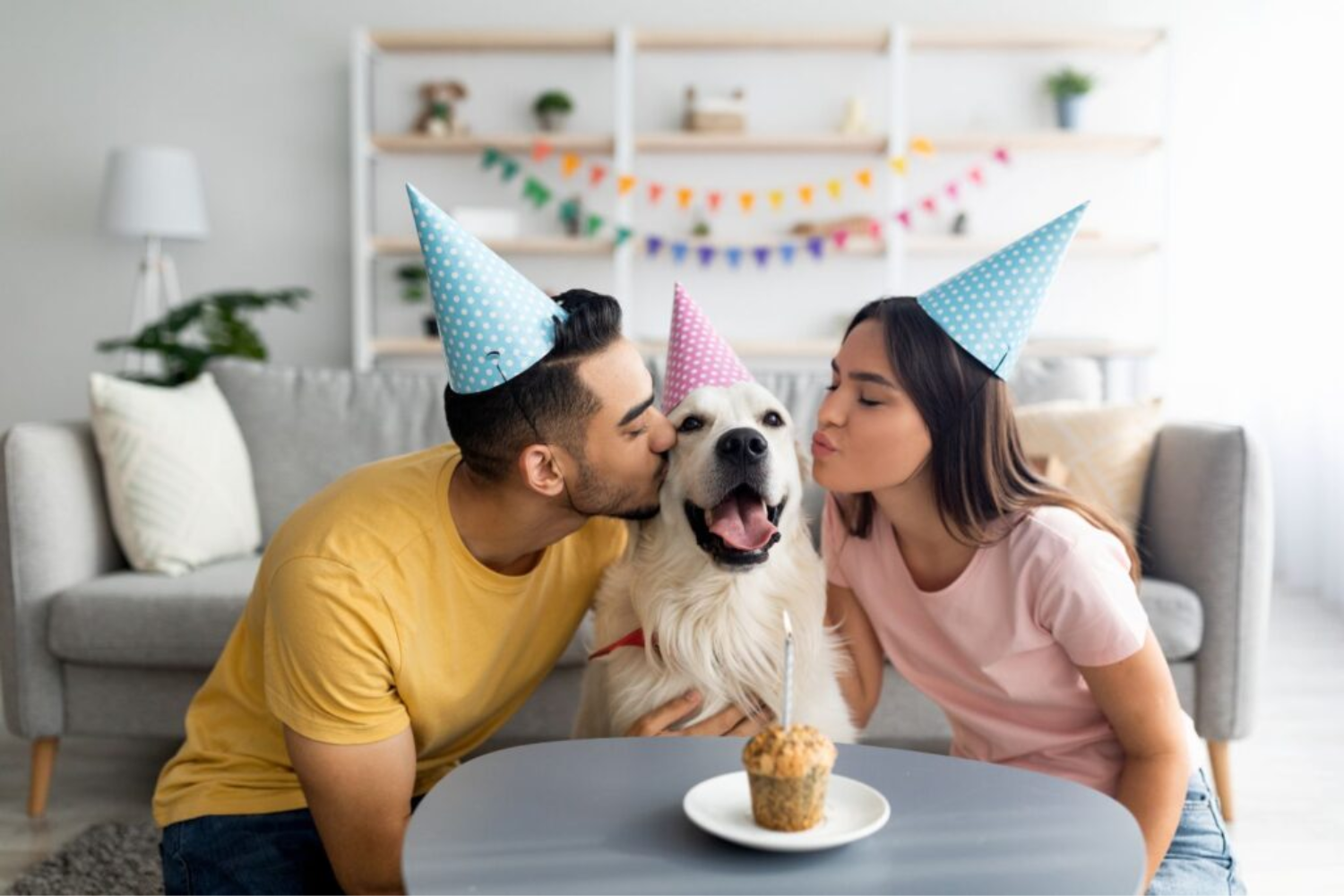Afeta Cães E Gatos1