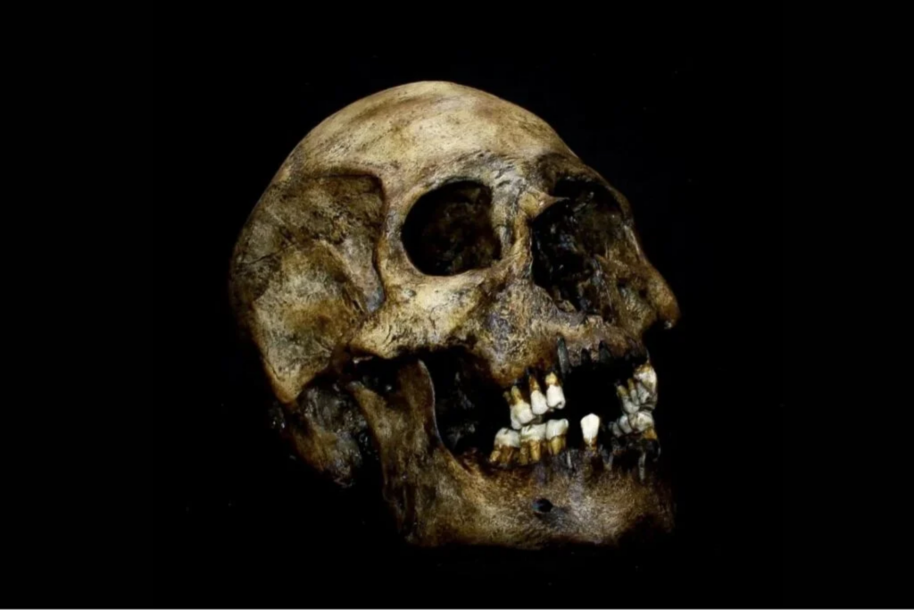 Biologia E Vida Moderna