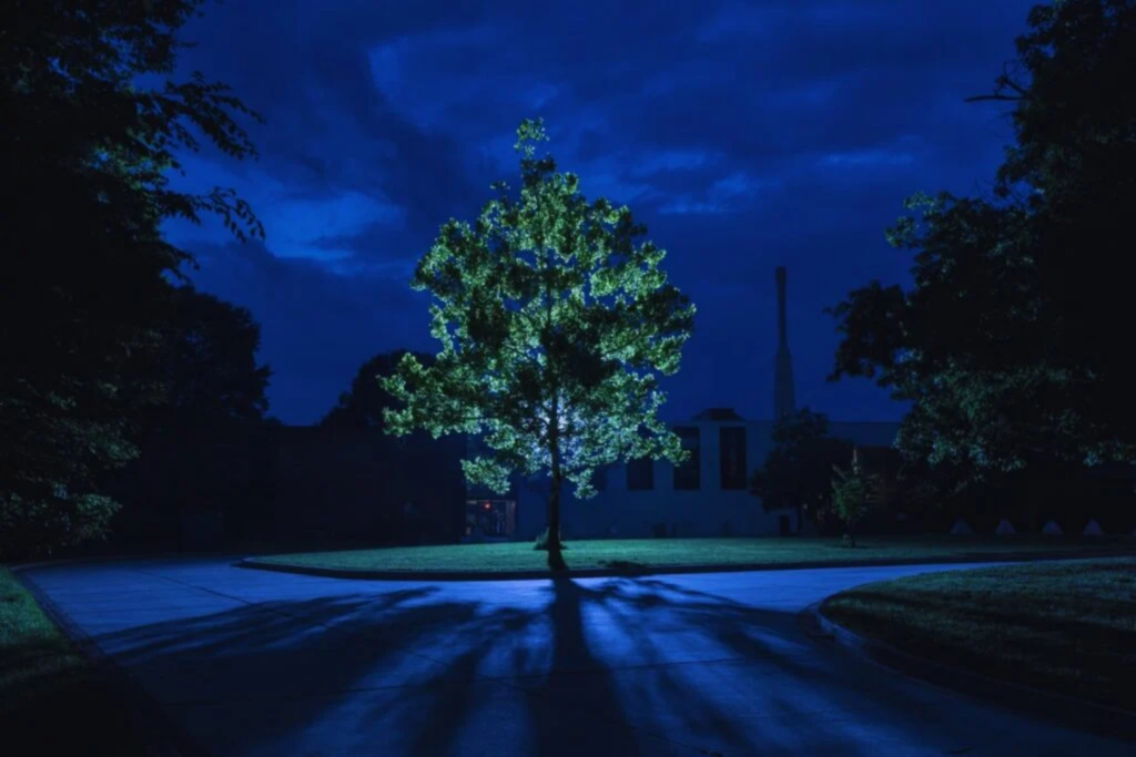 Exploração Espacial9