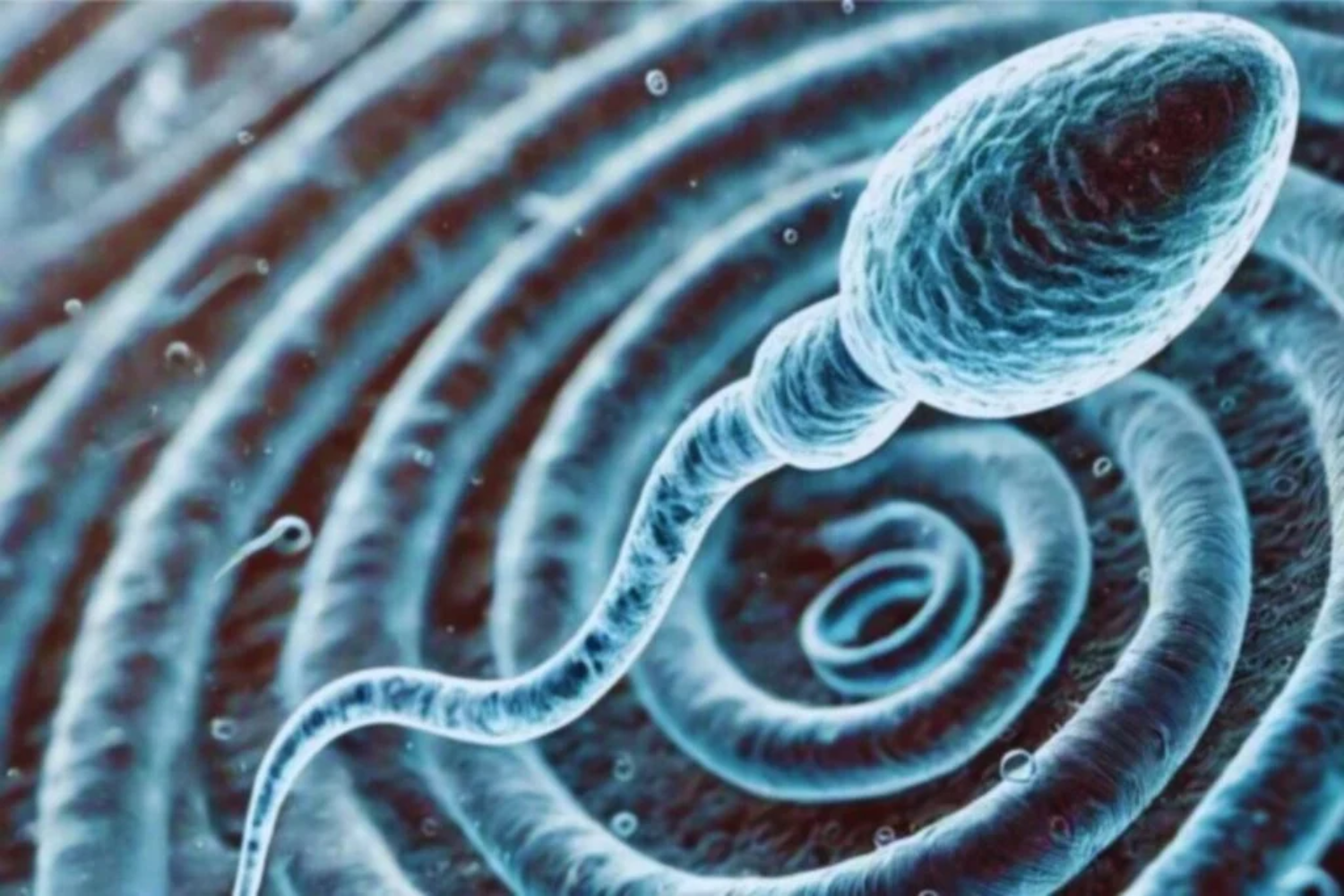 Fertilidade Infinita1