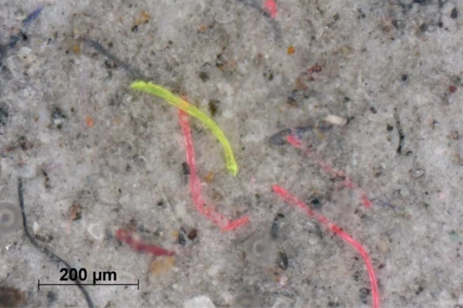 Fluxos De Microplástico