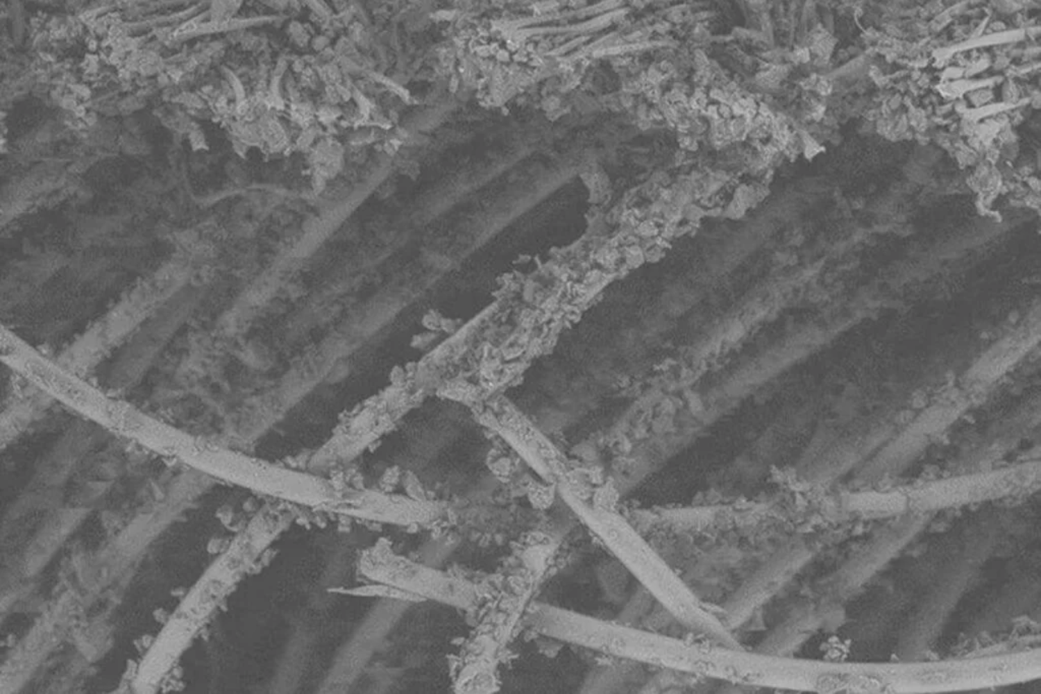 Fluxos De Microplástico1