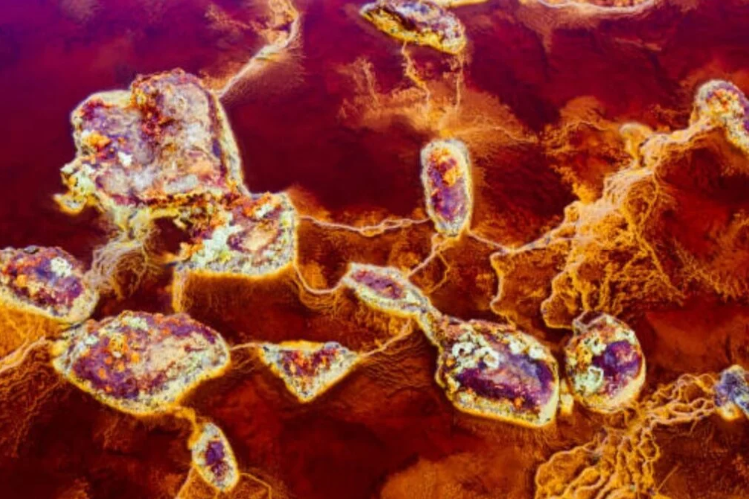 Organismo Que Desafia Marte