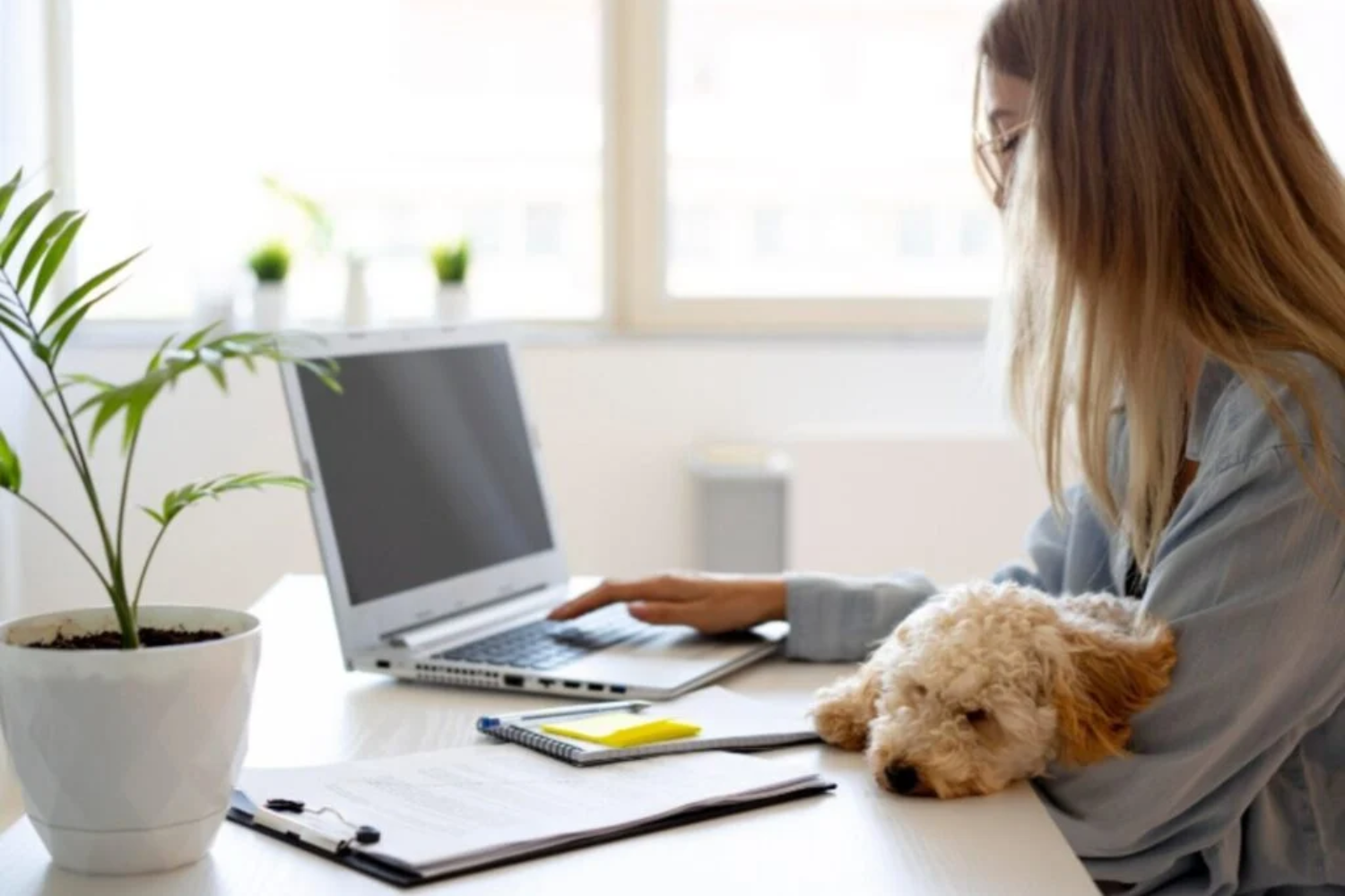 Plena Crise Internacional1