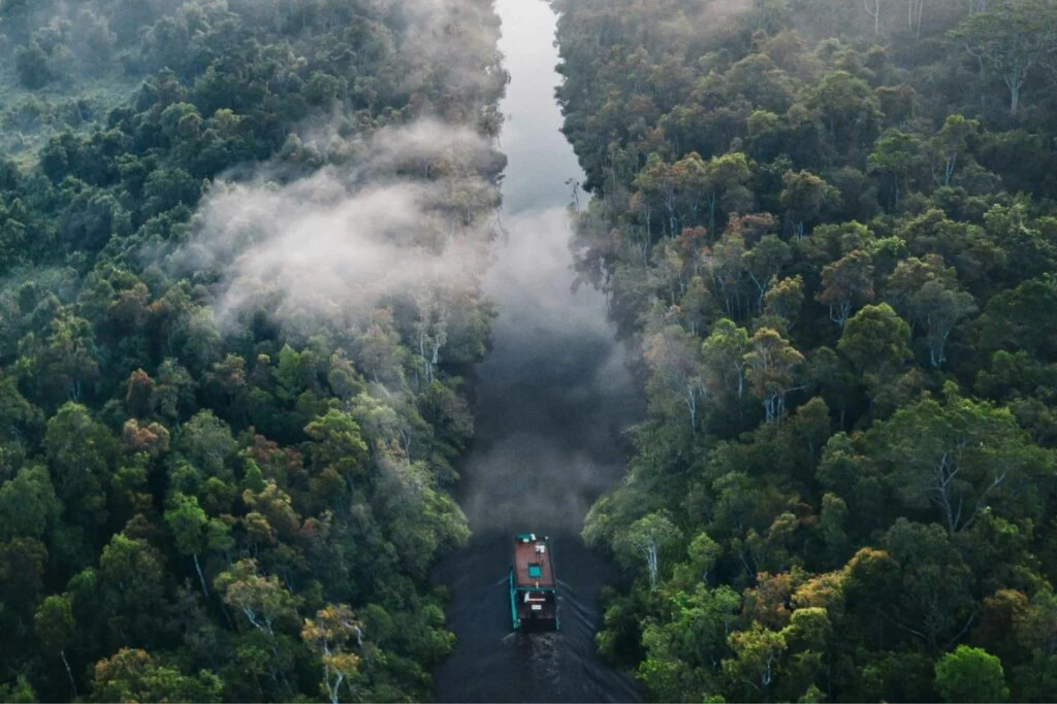 Amazônia1