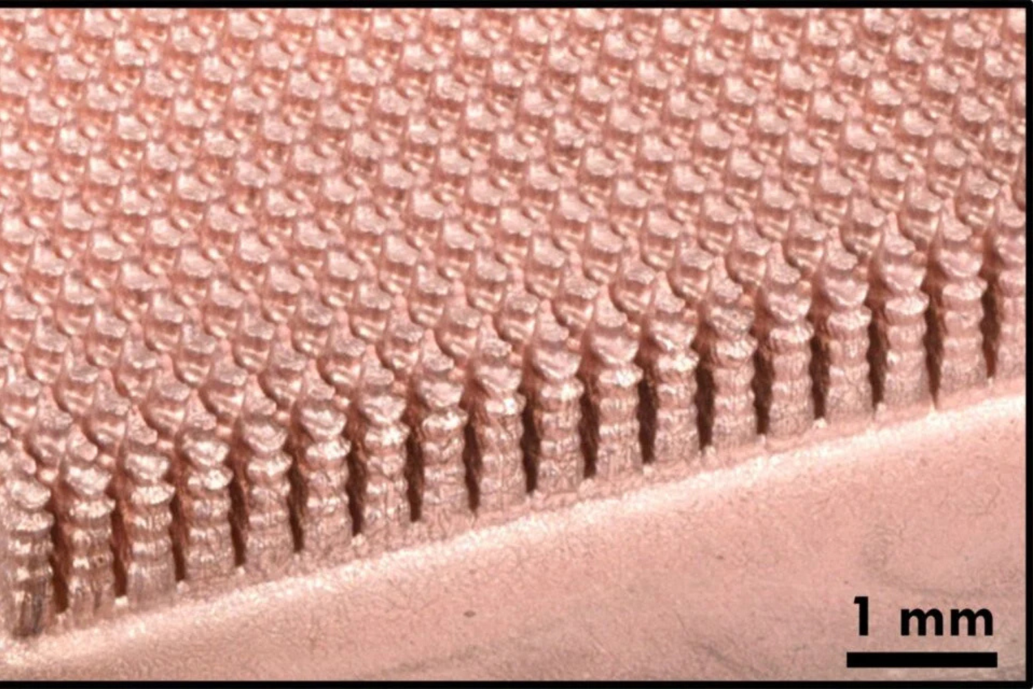 Chip Data Center