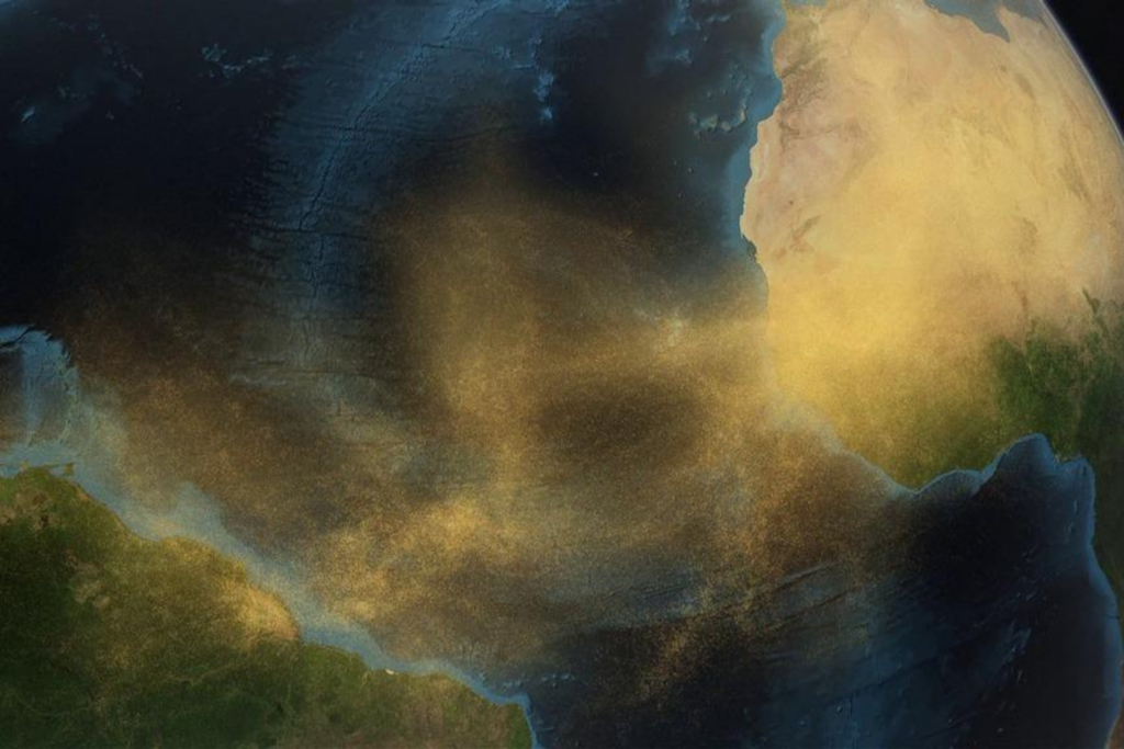 Cada Año, 27 Millones De Toneladas De Polvo Del Sahara Cruzan El Océano Atlántico Y Se Depositan En El Amazonas