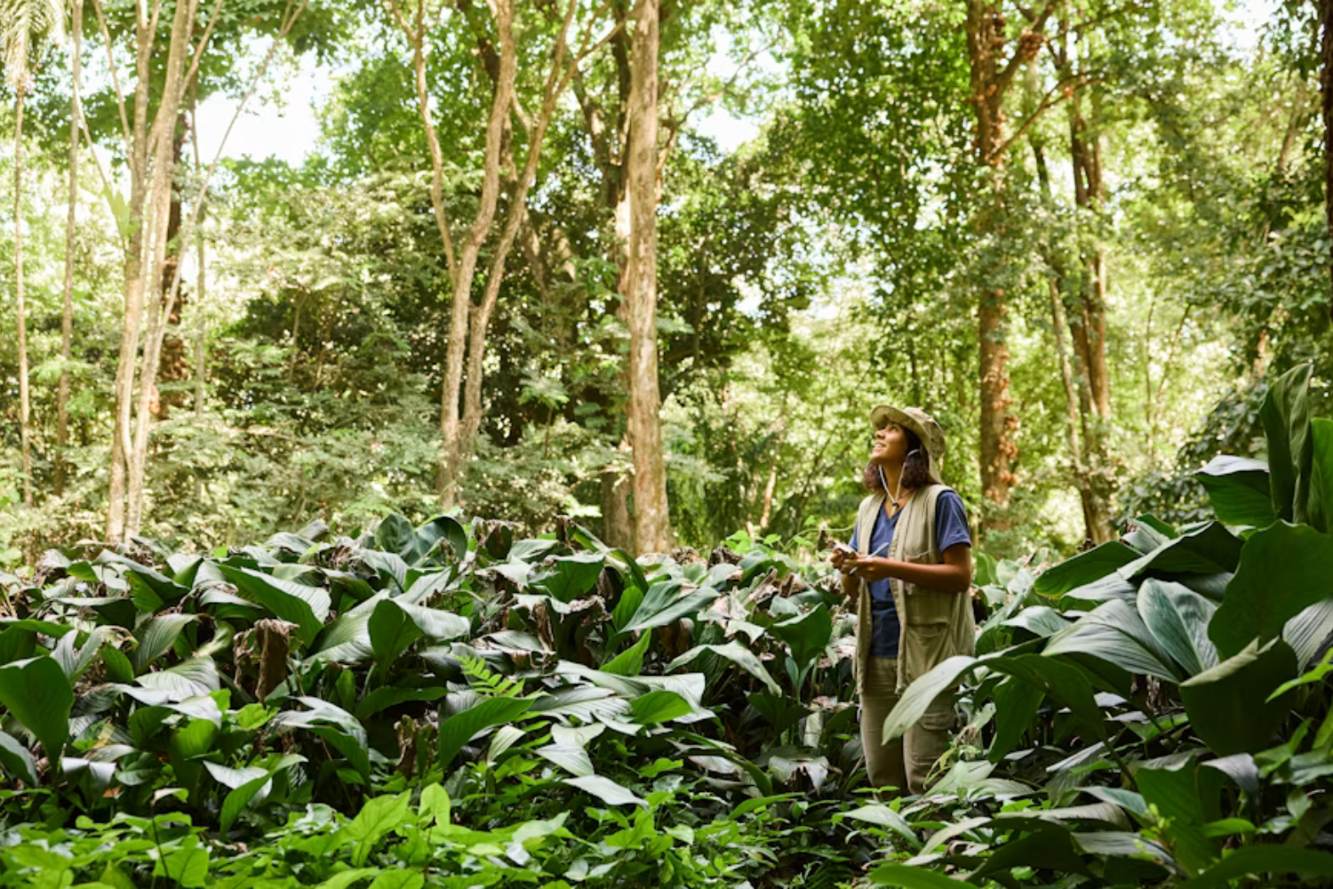 Cientistas Analisaram Mais De 300 Mil Espécies E Chegaram A Uma Conclusão Surpreendente A Maior Parte Da Biodiversidade Vegetal Surgiu Sem Grandes Migrações