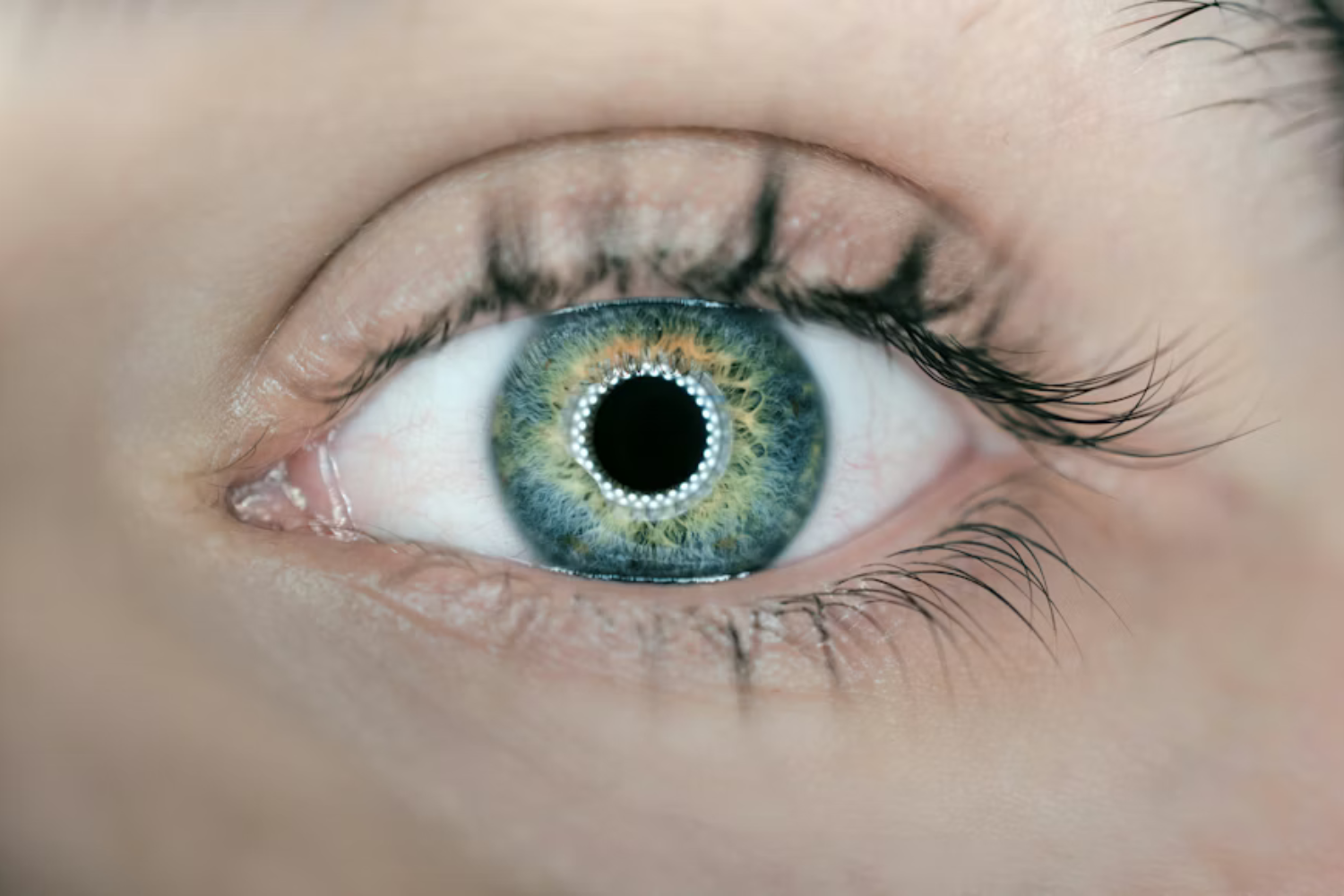 Cientistas Criaram Lentes De Contato Que Estimulam O Cérebro Pela Retina E Reduziram Sintomas De Depressão