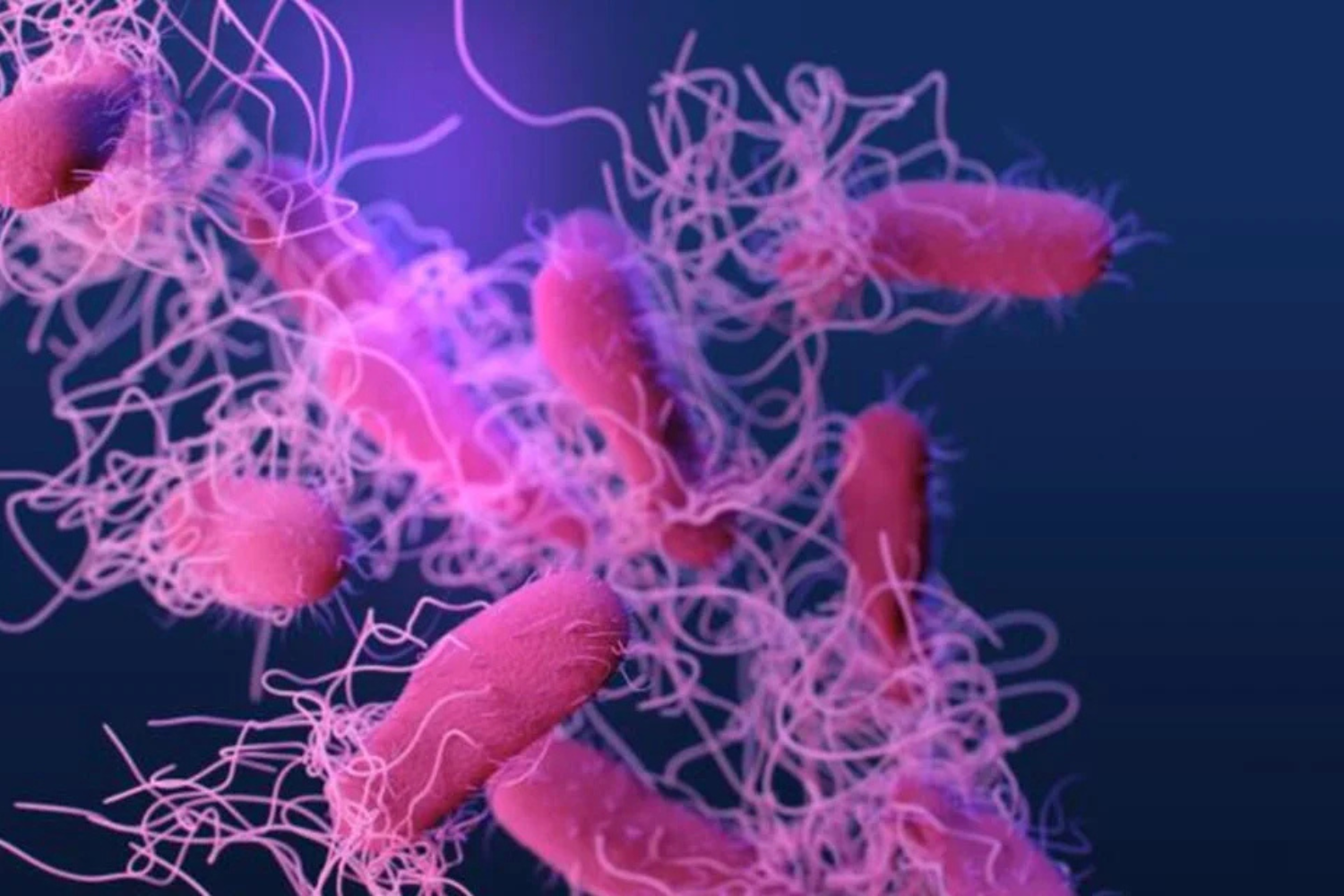 Cientistas Identificaram Uma Nova Origem Para As Superbactérias Resistentes A Antibióticos