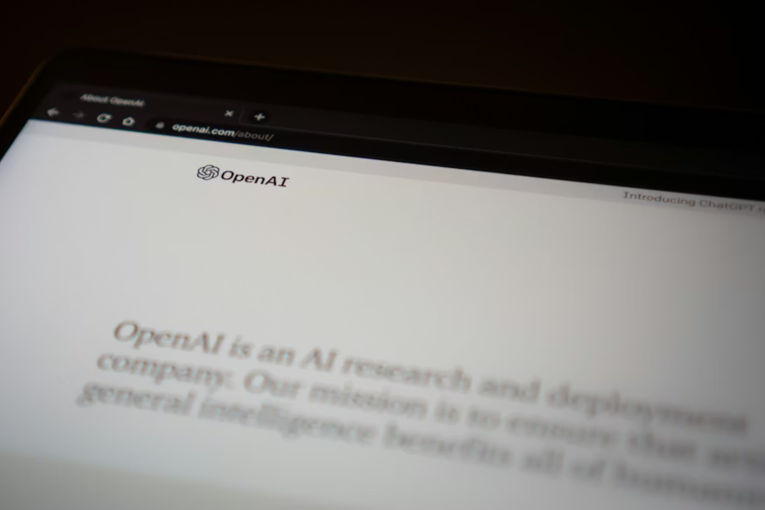 Openai (2)