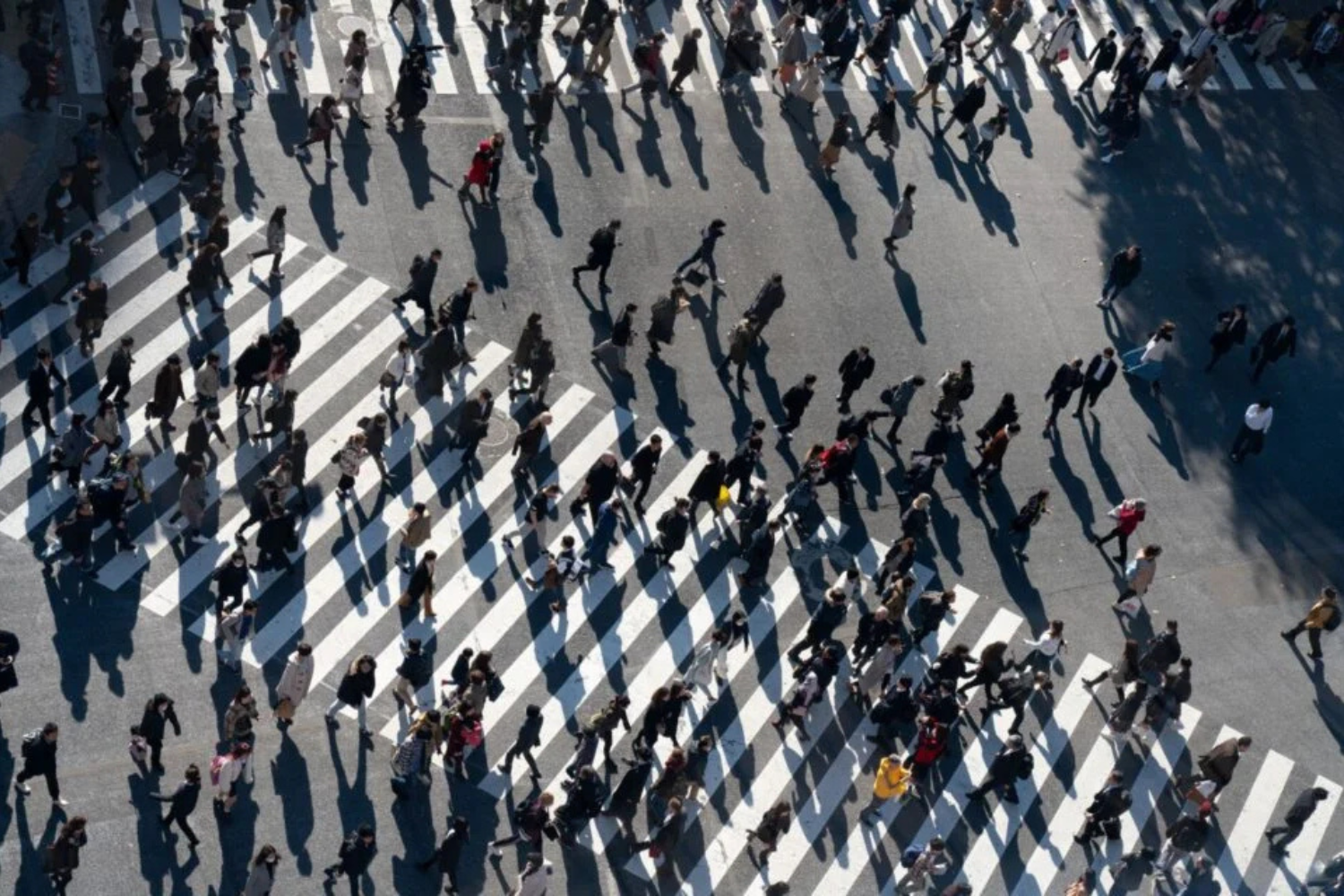 Um Novo Modelo Matemático Sugere Um Cenário Extremo Para A Humanidade A População Global Poderia Cair Pela Metade Até 2064