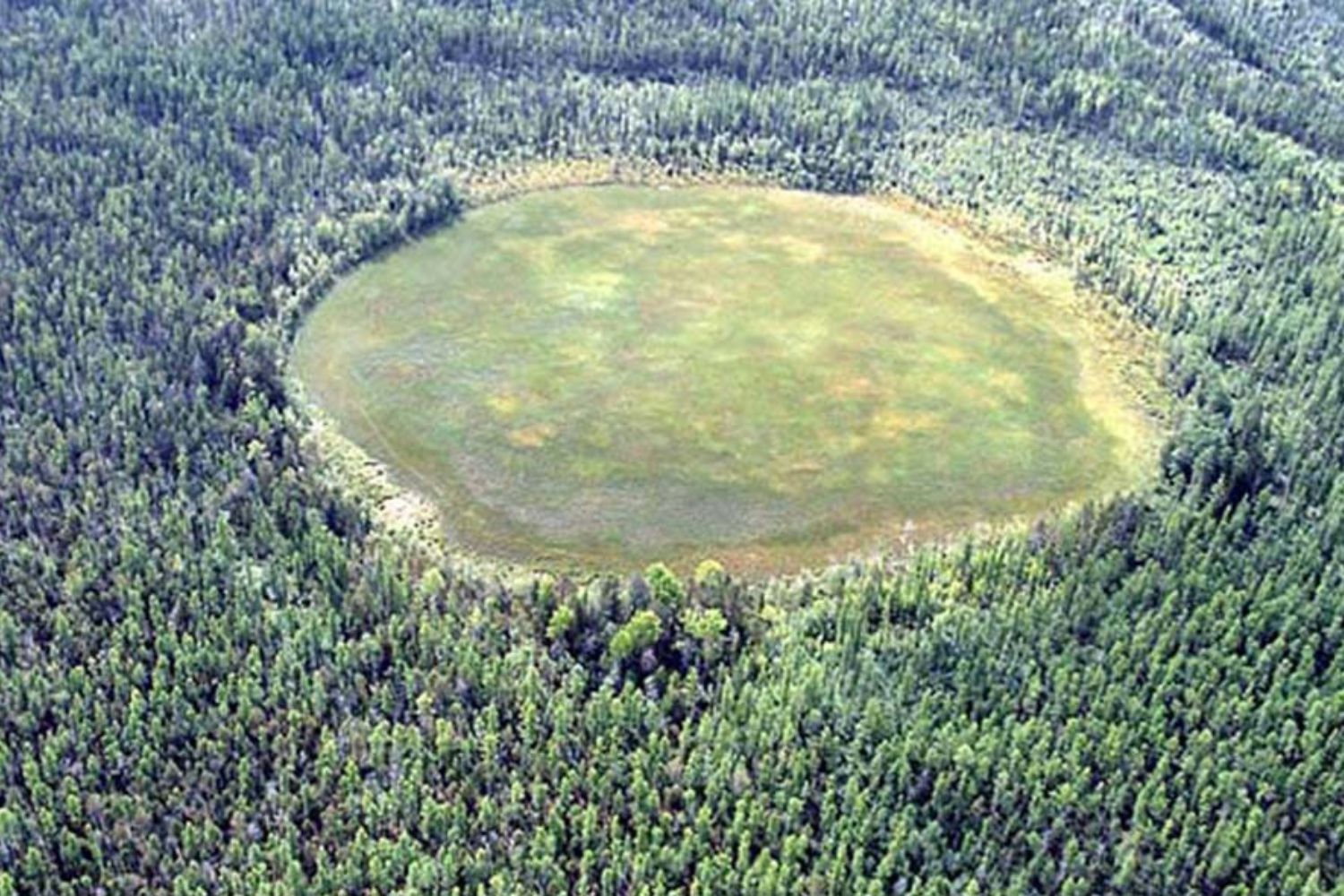 A explosão mais misteriosa da história devastou milhões de árvores e ninguém consegue explicar exatamente o que caiu do céu