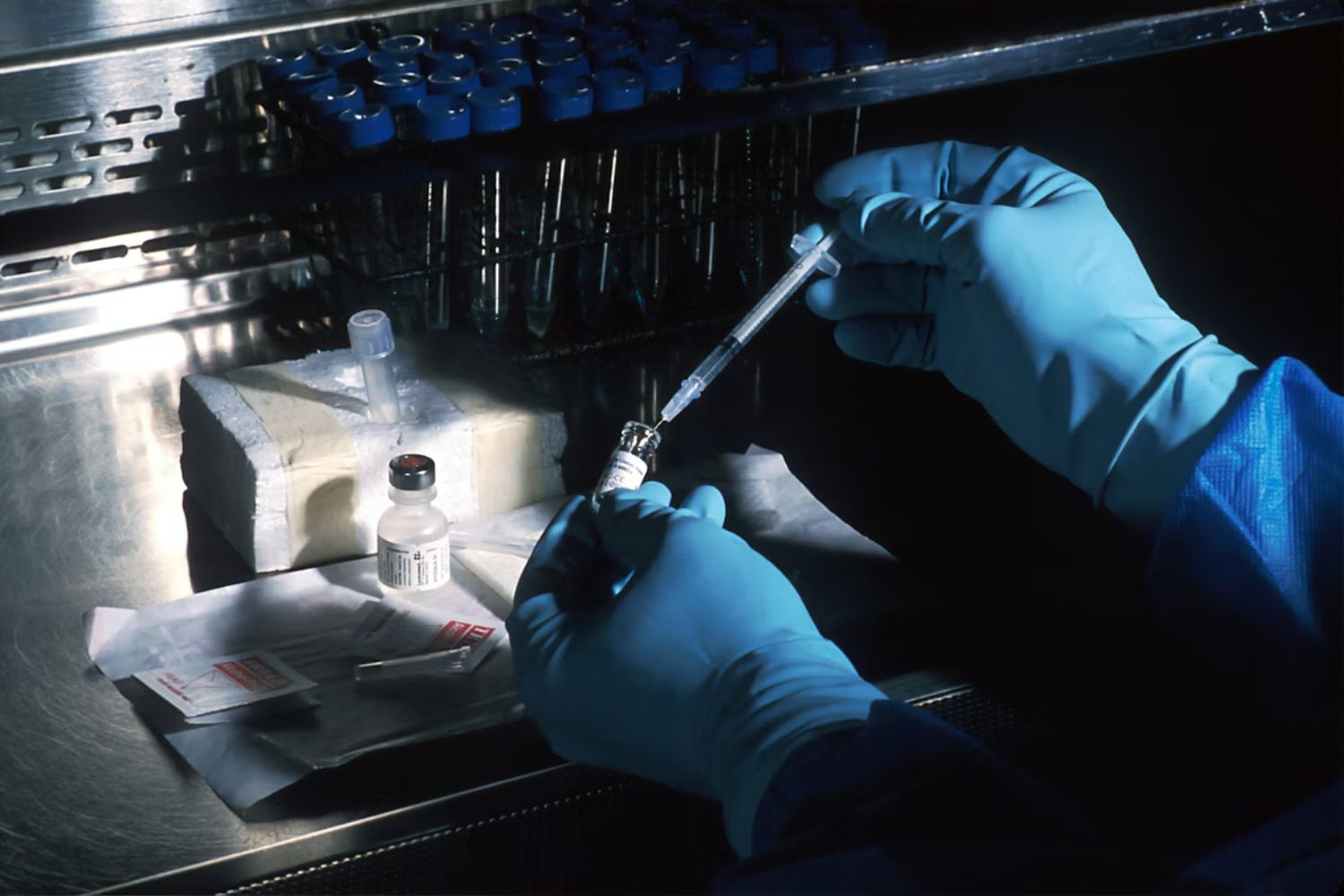 Cientistas descobriram um “ponto fraco” comum entre dengue, zika e outros vírus perigosos