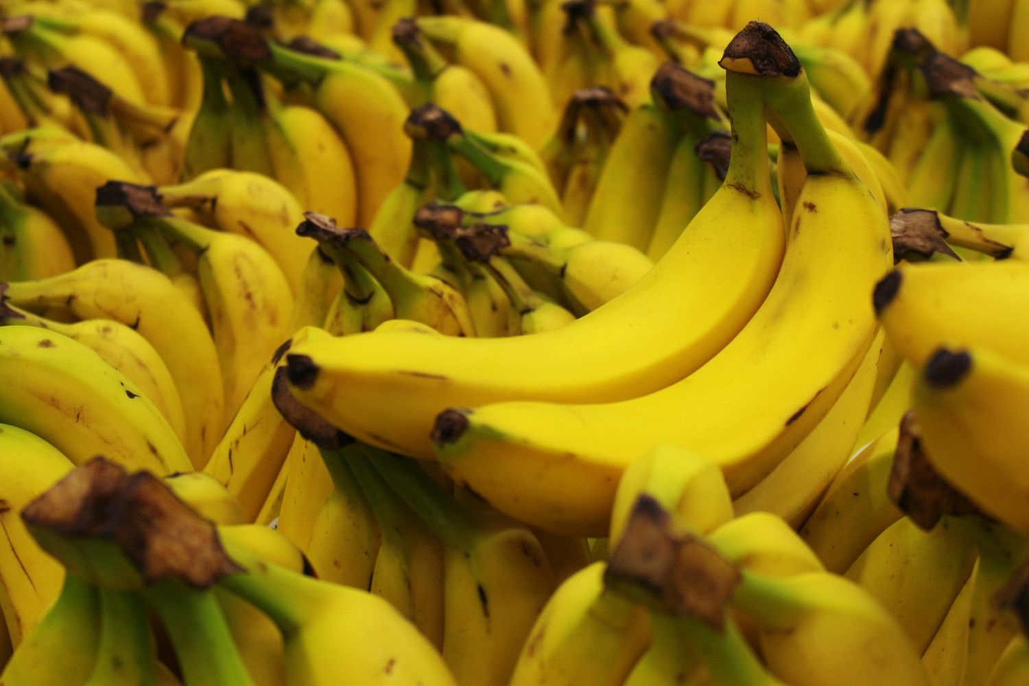 A fruta simples do café da manhã que pode mudar sua energia logo nas primeiras horas do dia