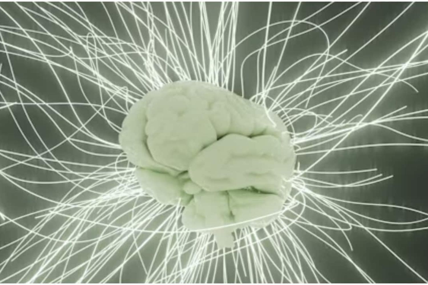 Pesquisadores conectaram 70 mil neurônios vivos a um sistema eletrônico