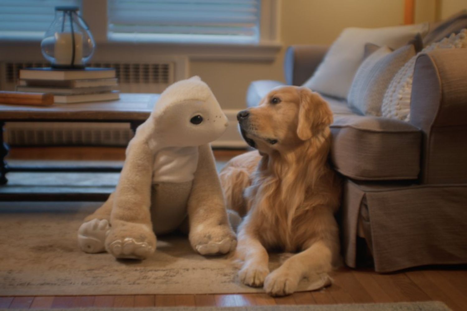 Novo robô com IA tenta entender emoções humanas e agir como um pet