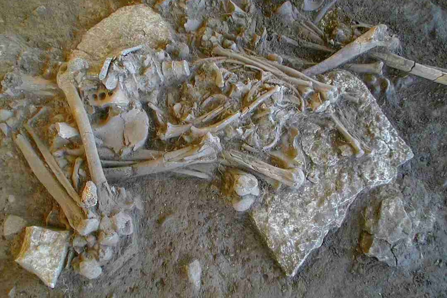 Povos inteiros desapareceram misteriosamente há 5 mil anos e cientistas finalmente descobriram o que aconteceu