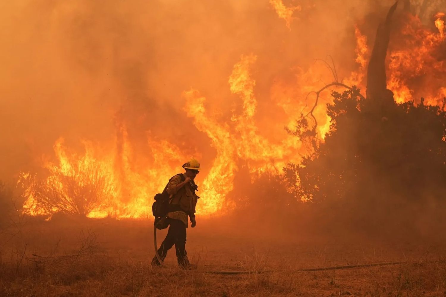 Novo El Niño preocupa especialistas por risco global de secas, calor e incêndios