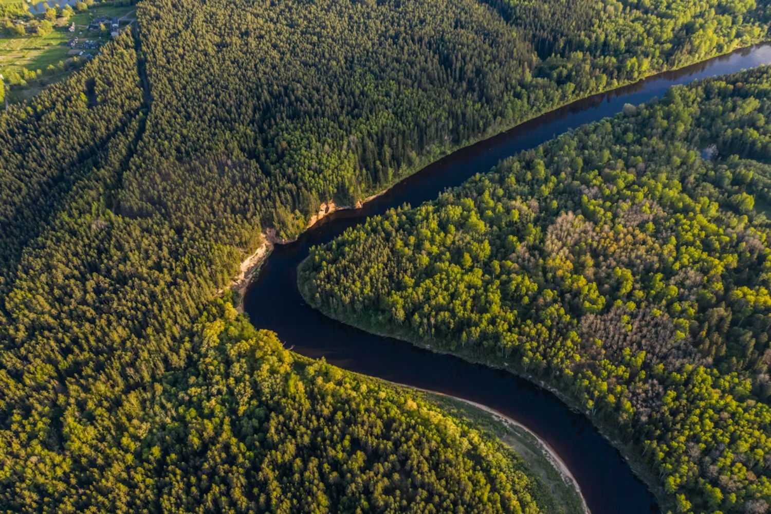 Desmatamento na Amazônia atinge menor nível em anos e surpreende especialistas