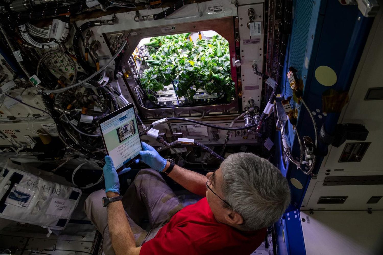 A NASA está oferecendo uma fortuna para quem conseguir resolver um problema que pode decidir o futuro de Marte