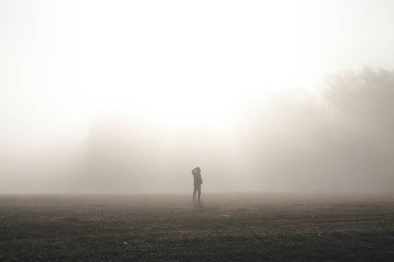 A neblina esconde formas de vida microscópicas que surpreenderam pesquisadores