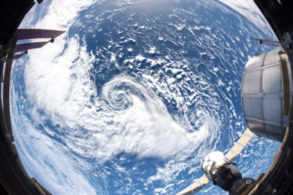 Extinção Marinha