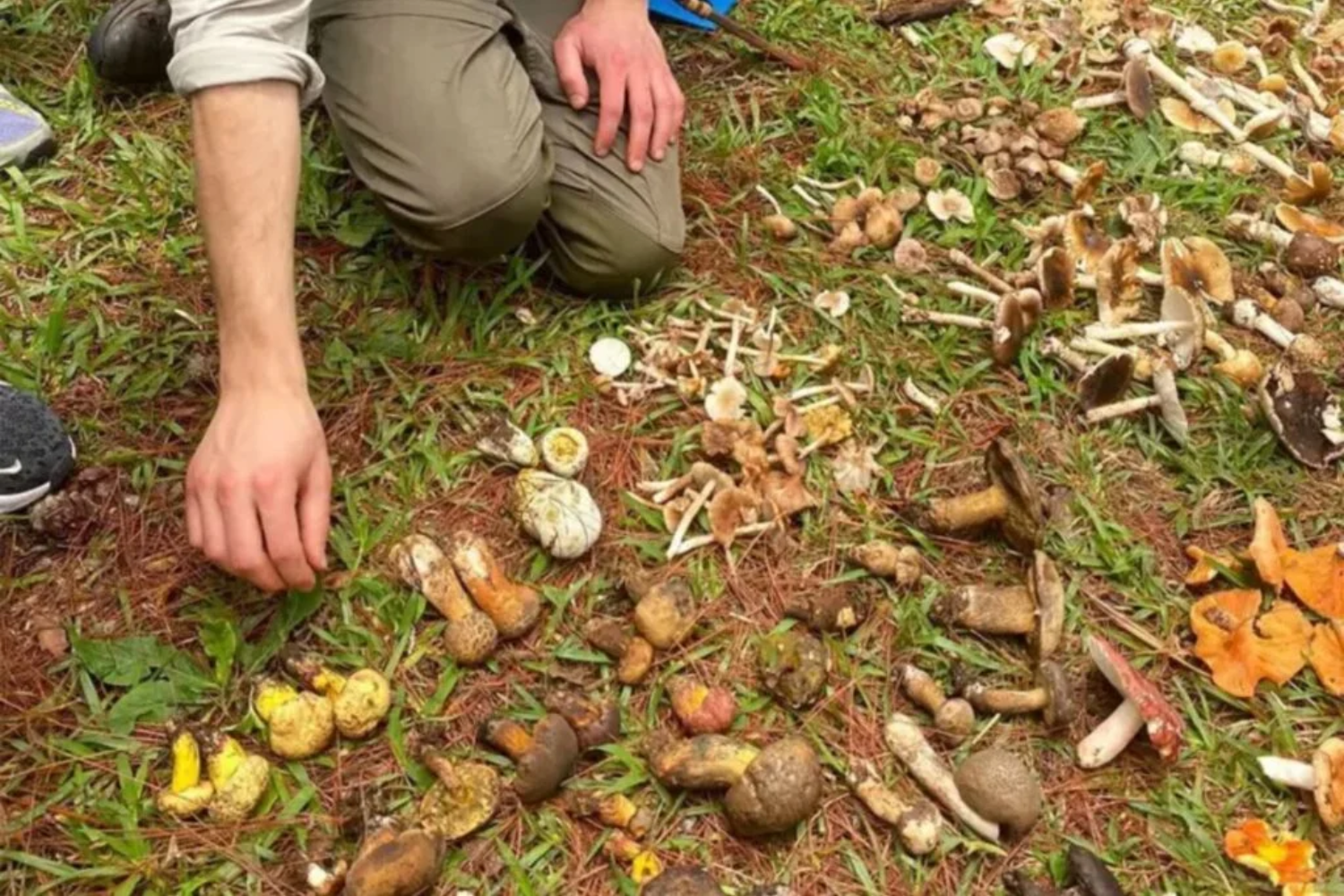 Humanos Minúsculos1