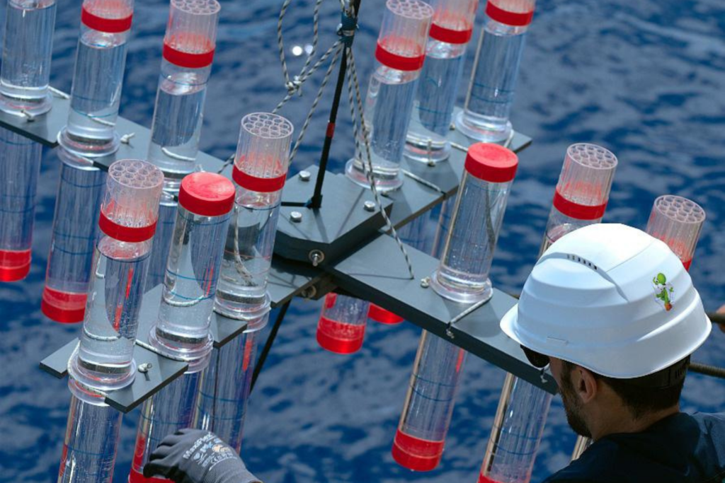 Oceano Microplasticos