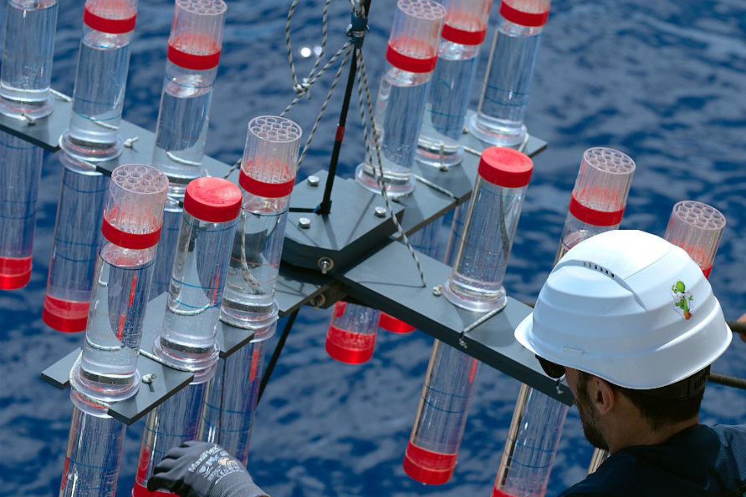 Oceano Microplasticos