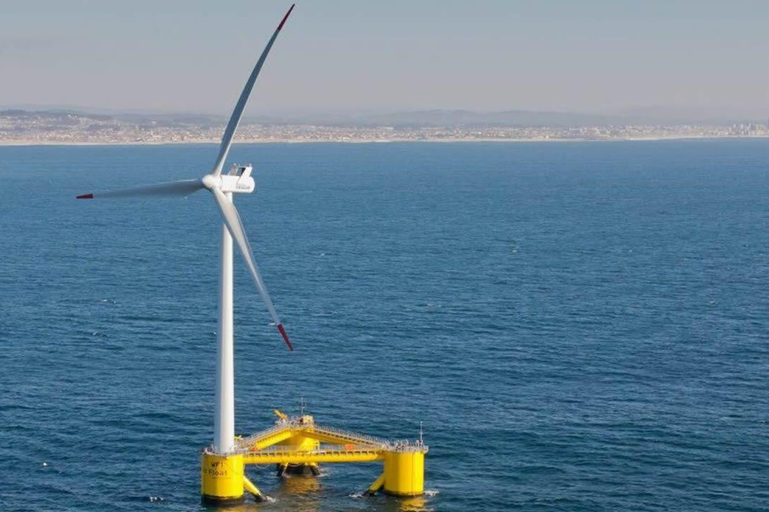 Parque Eólico Em Portugal Virou Abrigo Para Polvos, Tubarões E Mais De 270 Espécies