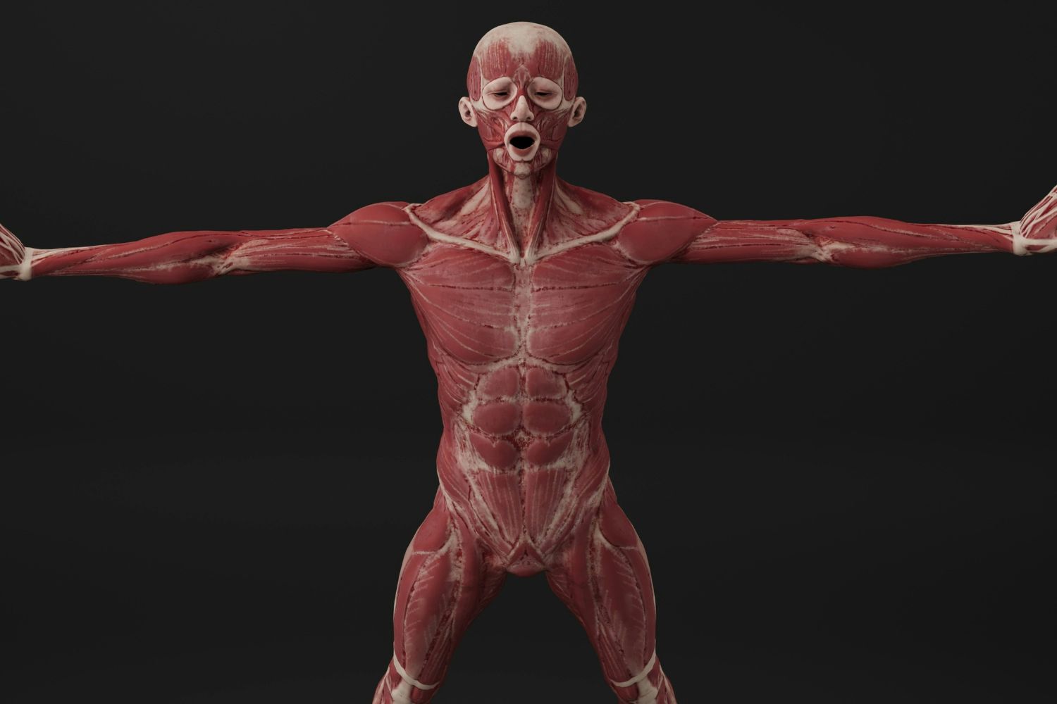 Treinamento de força e musculação: por que preservar seus músculos é essencial para envelhecer com saúde e autonomia