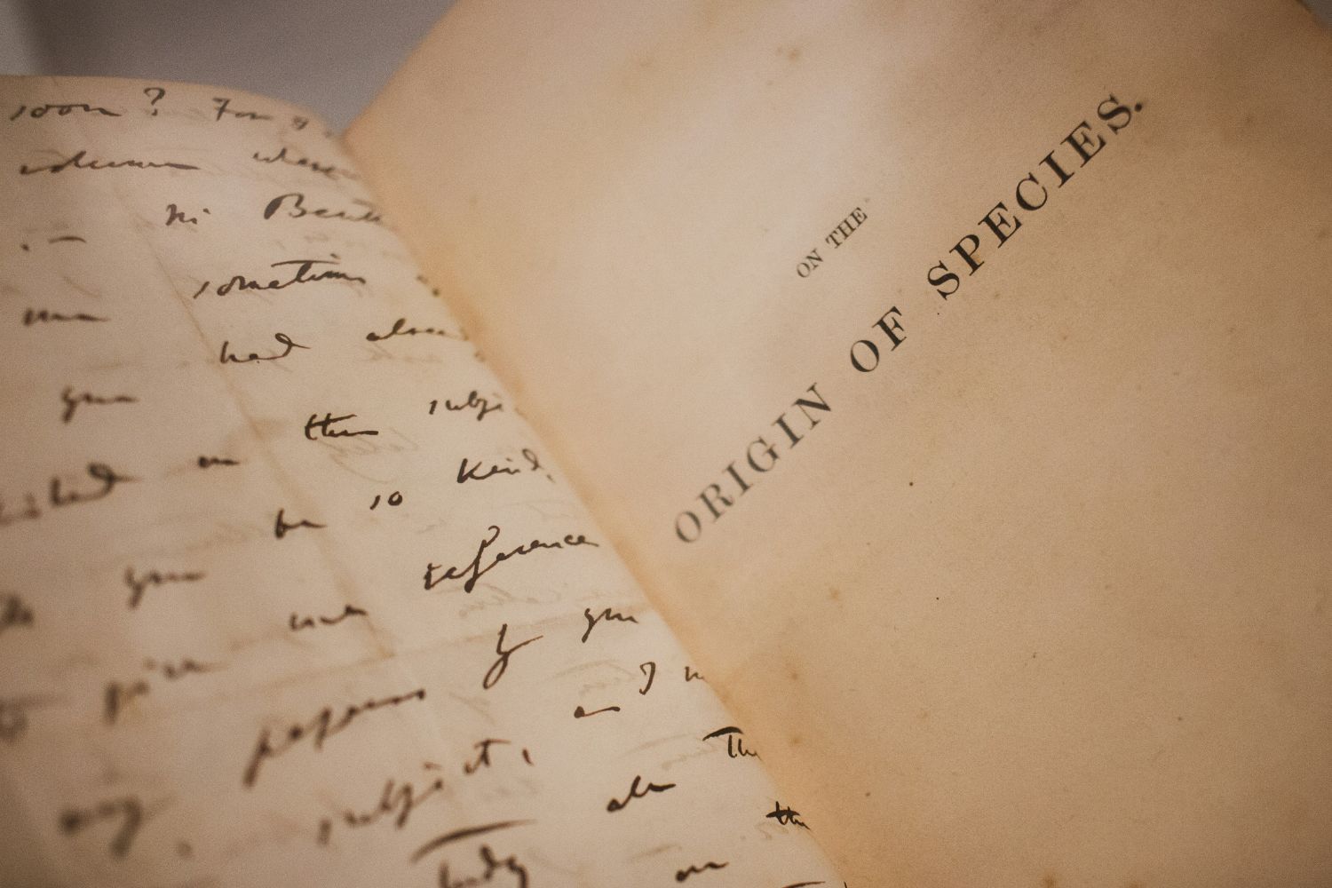 A ciência pode ter encontrado a razão oculta pela qual viver mais significa pagar um preço