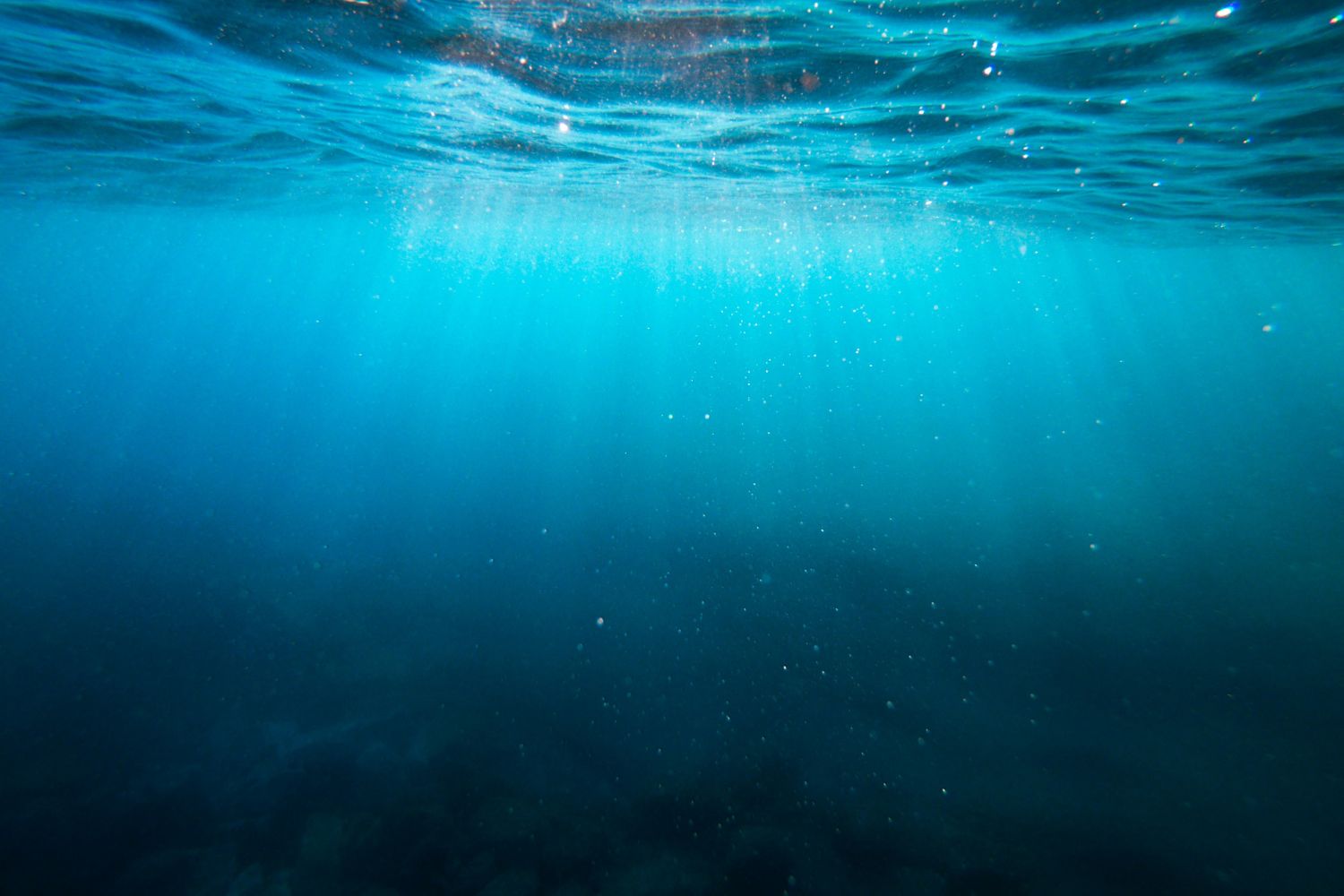 A misteriosa região do oceano que está esfriando enquanto o planeta aquece intriga cientistas