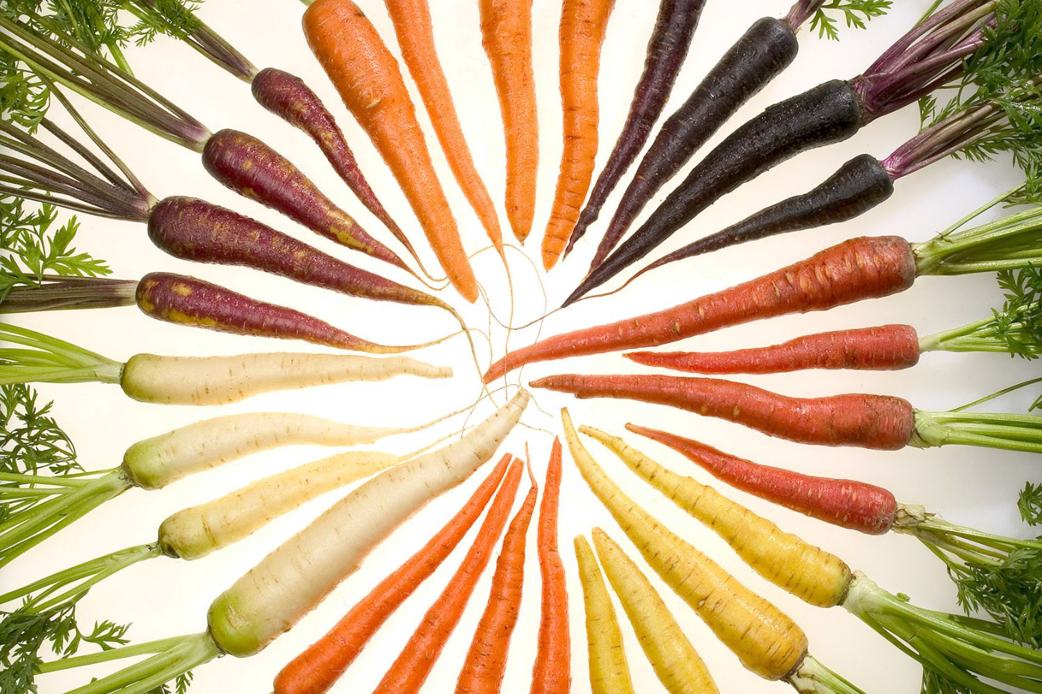 Descobertas sobre epigenética colocam os alimentos funcionais no centro da inovação