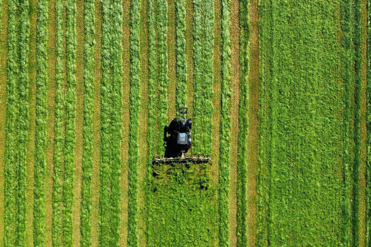 A gigantesca estrutura escondida sob nossos pés pode ser uma das mais importantes da Terra