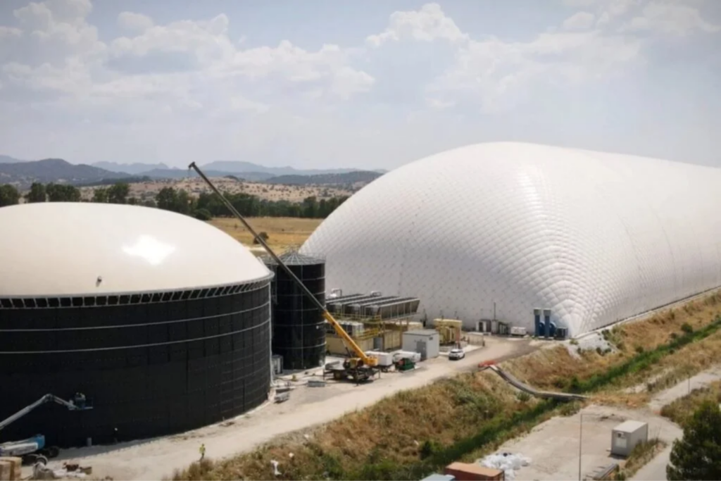 Google4