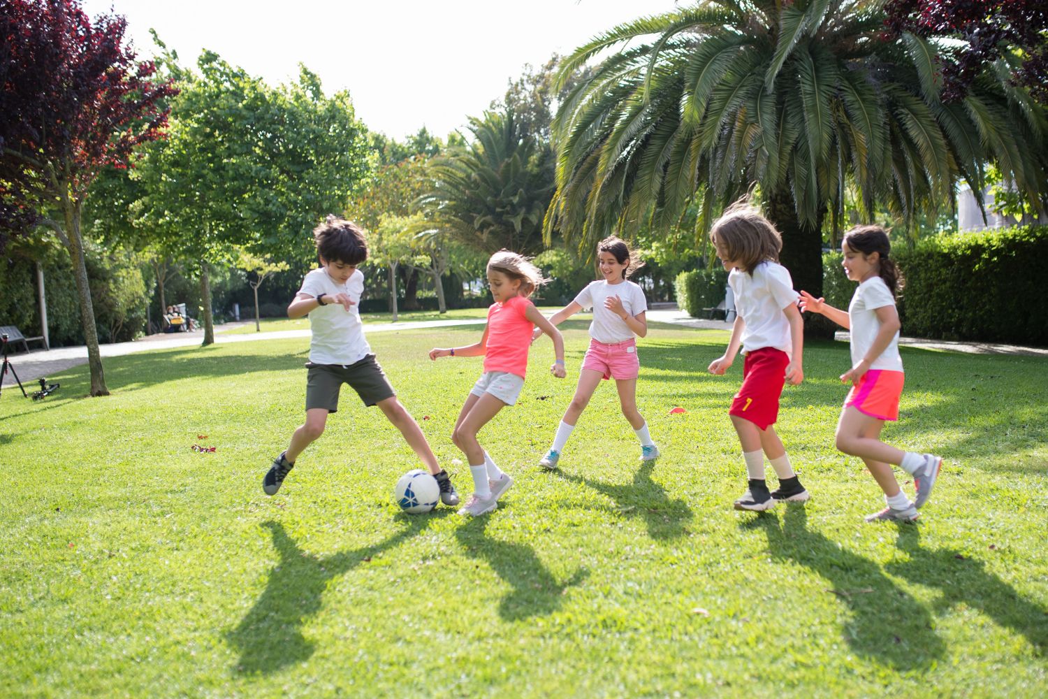 A ciência descobriu se vale a pena fazer todo o exercício apenas no fim de semana