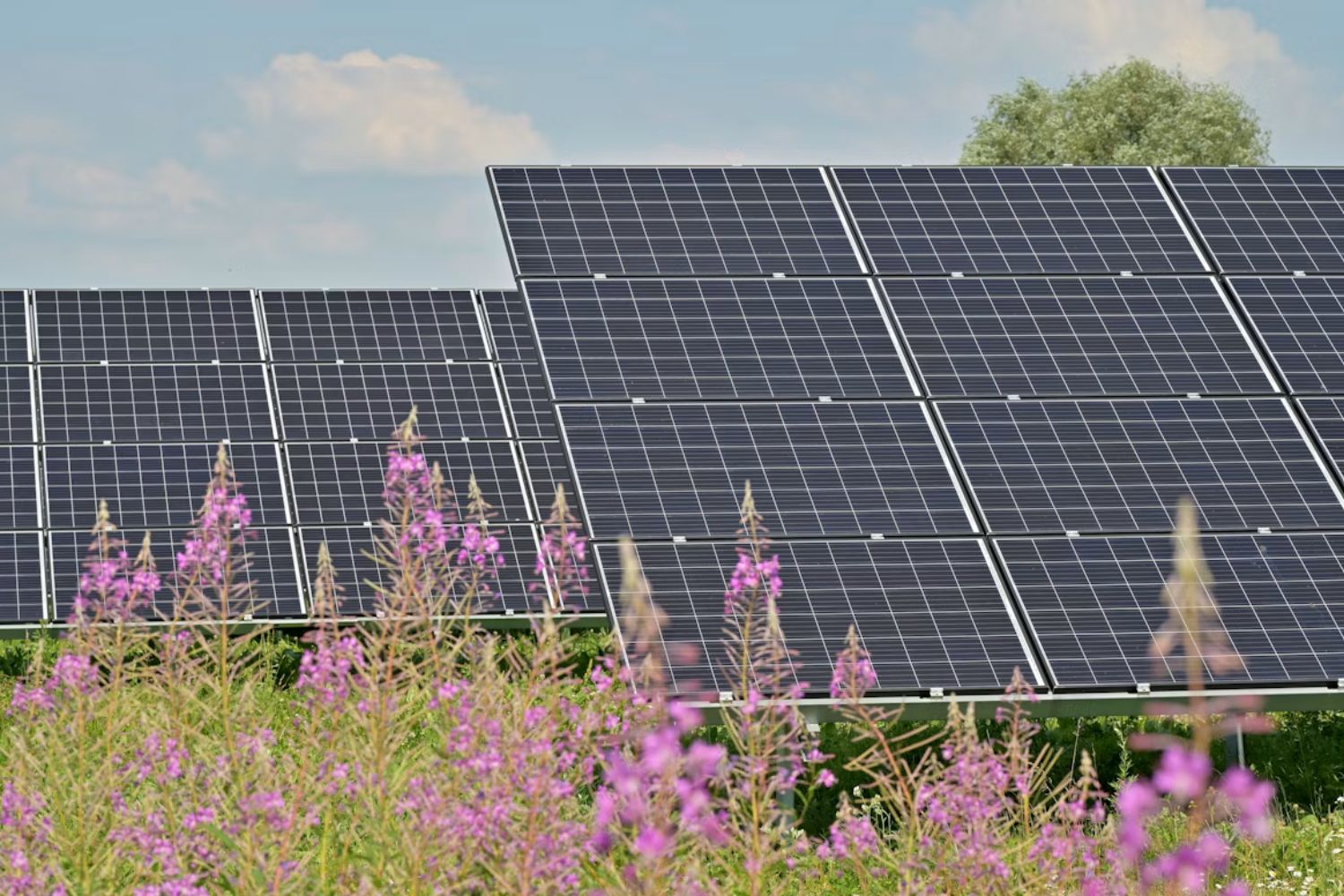 Cientistas criam uma tecnologia solar que funciona até em locais sem sol direto