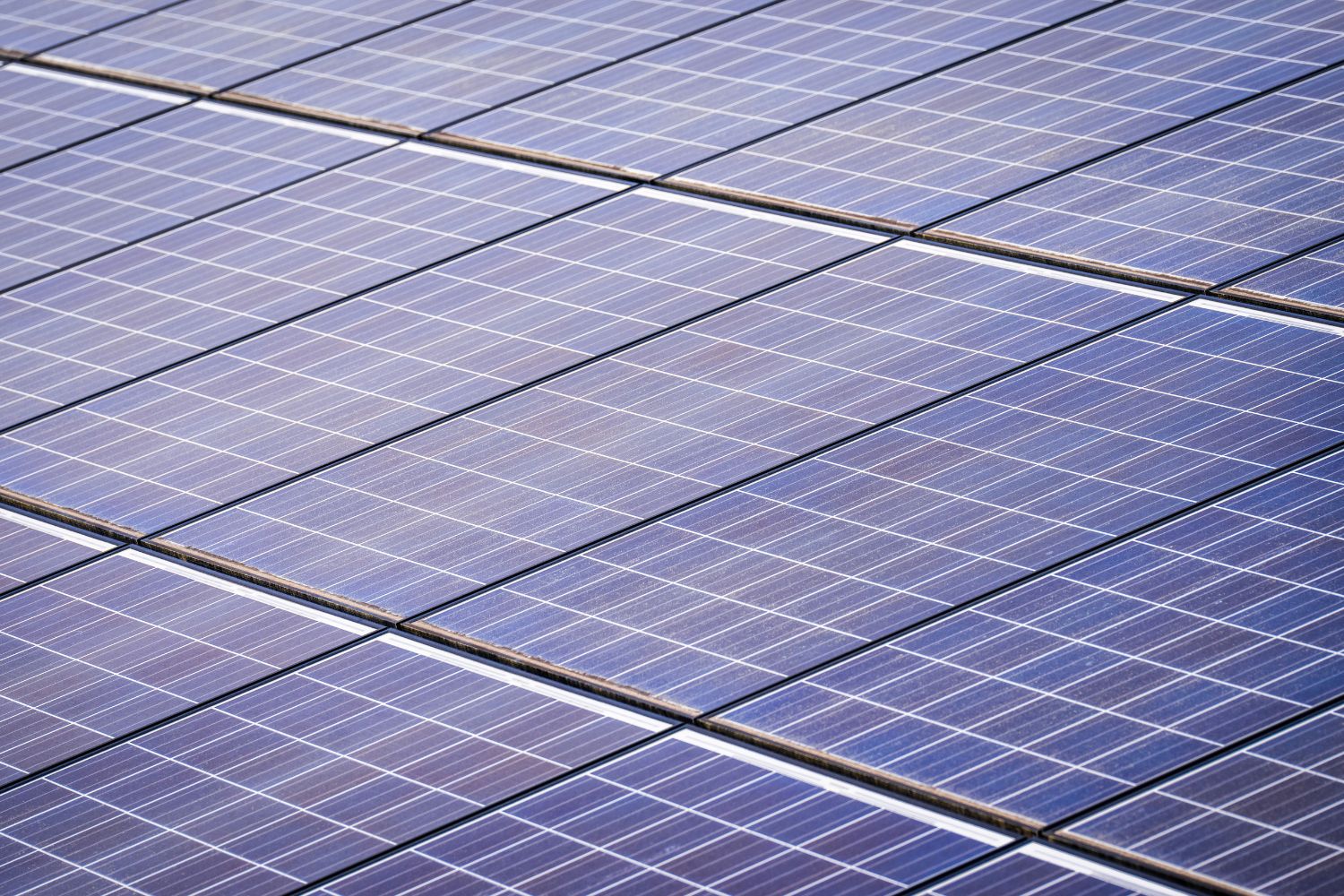 Cientistas investigam um efeito inesperado das fazendas solares que pode mudar o futuro dos desertos